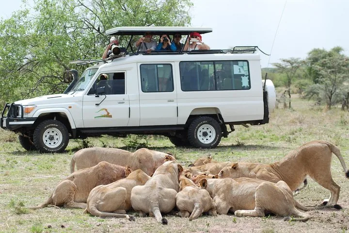 Offer photo: From Mwanza: a full-day game drive in the Serengeti, private