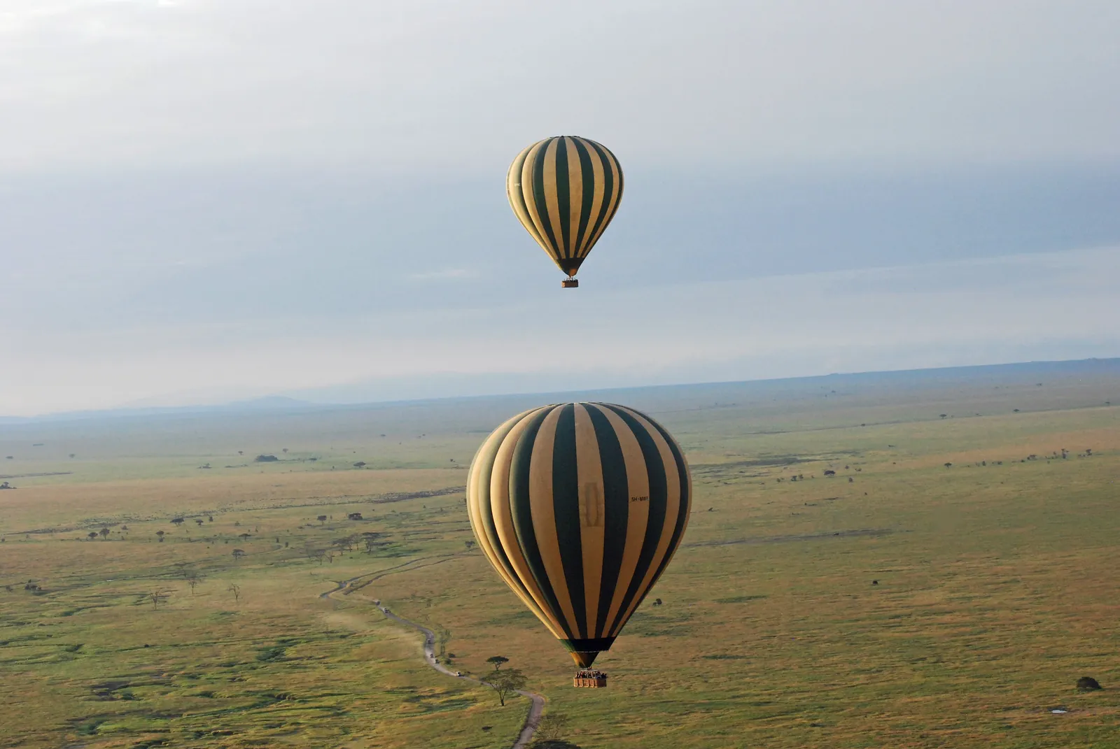 Two striped hot-air balloons float over the wide green-brown plain of Serengeti National Park in the early morning