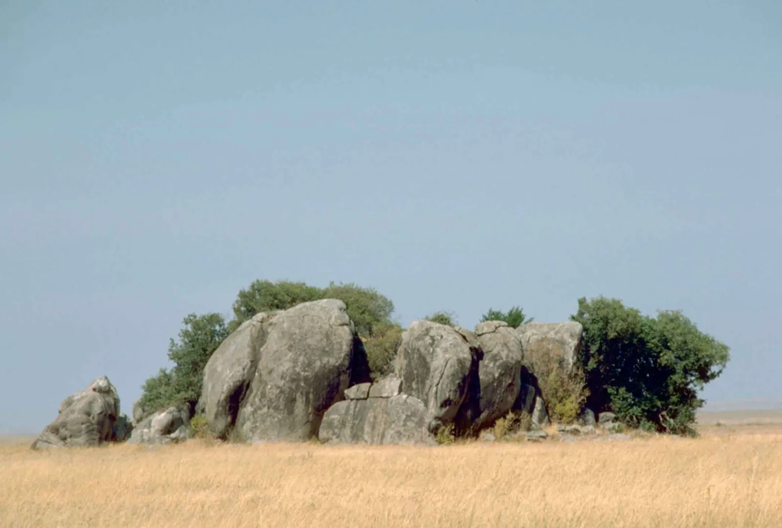 A group of grey granite rocks with bushes rises from dry yellow grass under a pale sky in Serengeti National Park
