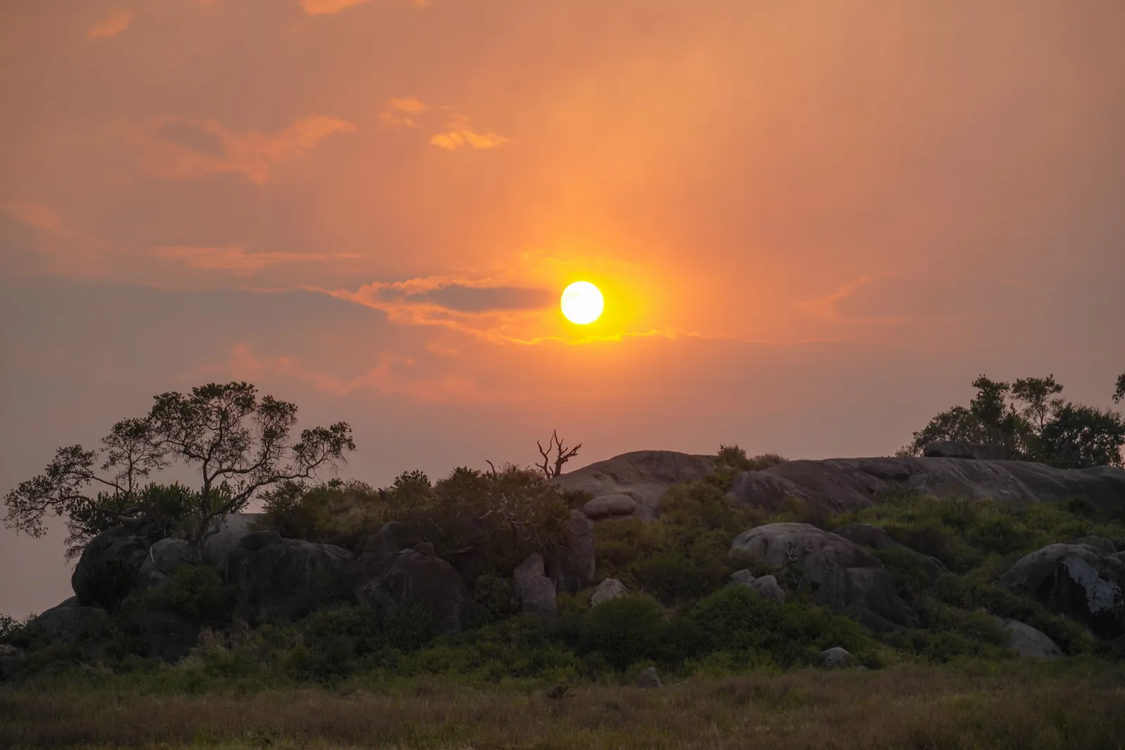 The sun as a bright point in the orange evening sky above a dark kopje with trees in Serengeti National Park