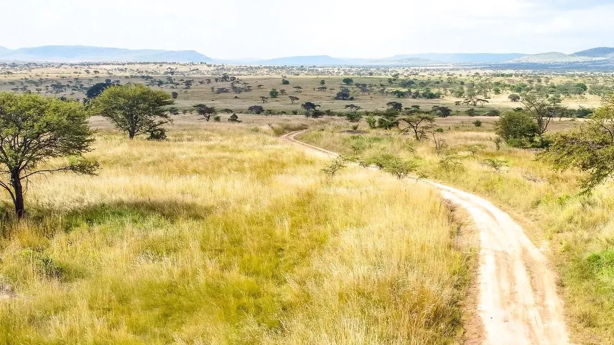 Offer photo: From Zanzibar: two days in the Serengeti with a flight to Seronera