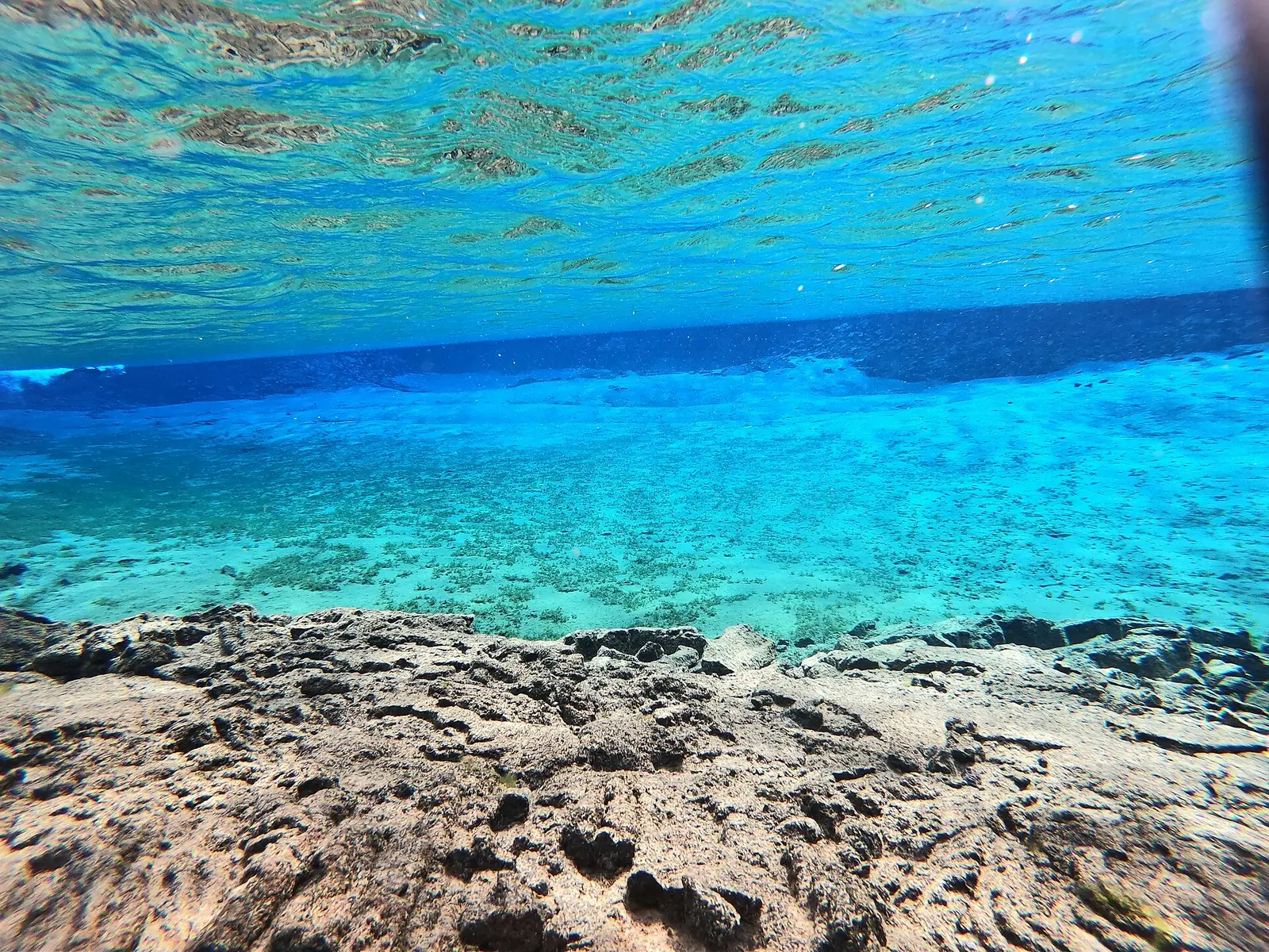 The shallow part of Silfra under water: green algae on a pale bottom, the water surface above
