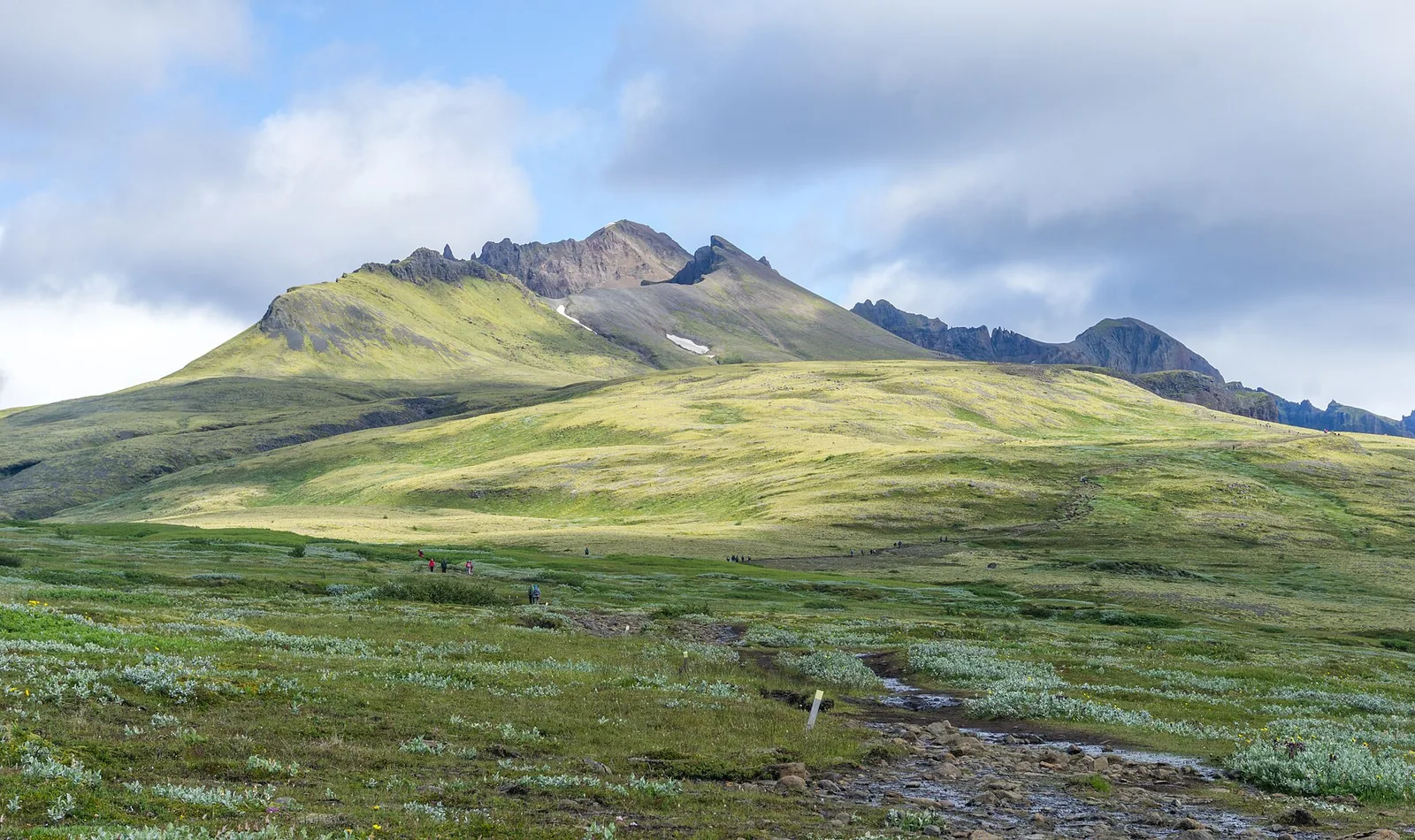 Green slopes of Skaftafellsheiði in Skaftafell below the jagged Kristínartindar peaks