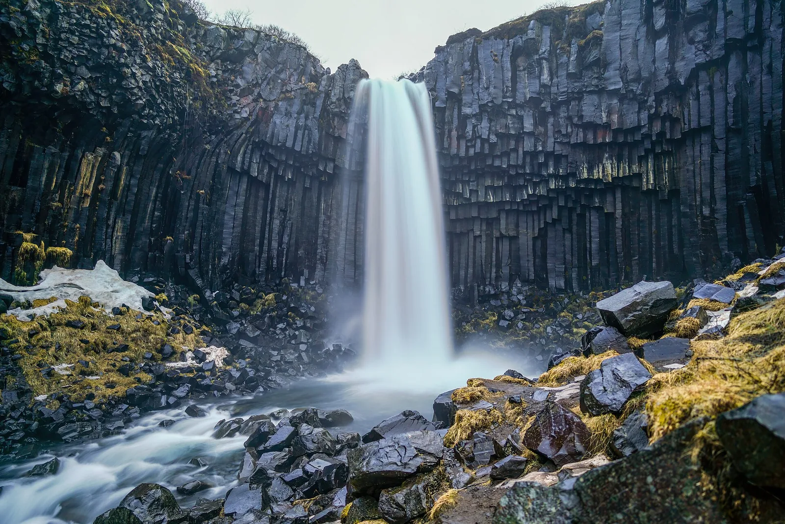 Svartifoss in Skaftafell falls as a white veil over dark basalt columns, mossy stones in the stream in the foreground