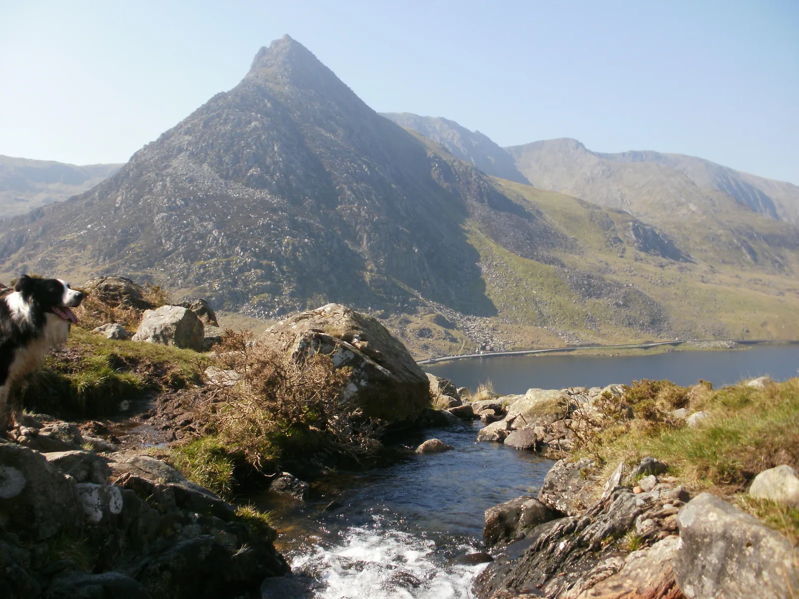 The rocky peak of Tryfan in Snowdonia National Park above the lake Llyn Ogwen, a stream between rocks in front