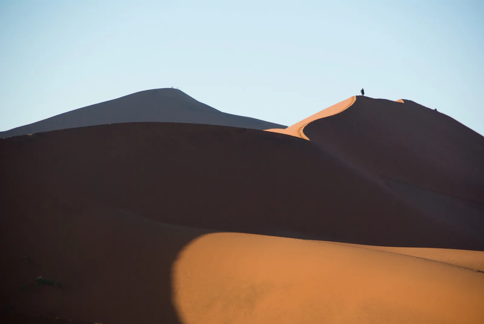 The long crest of the Big Daddy dune in Namib-Naukluft National Park, with the Deadvlei pan at its foot