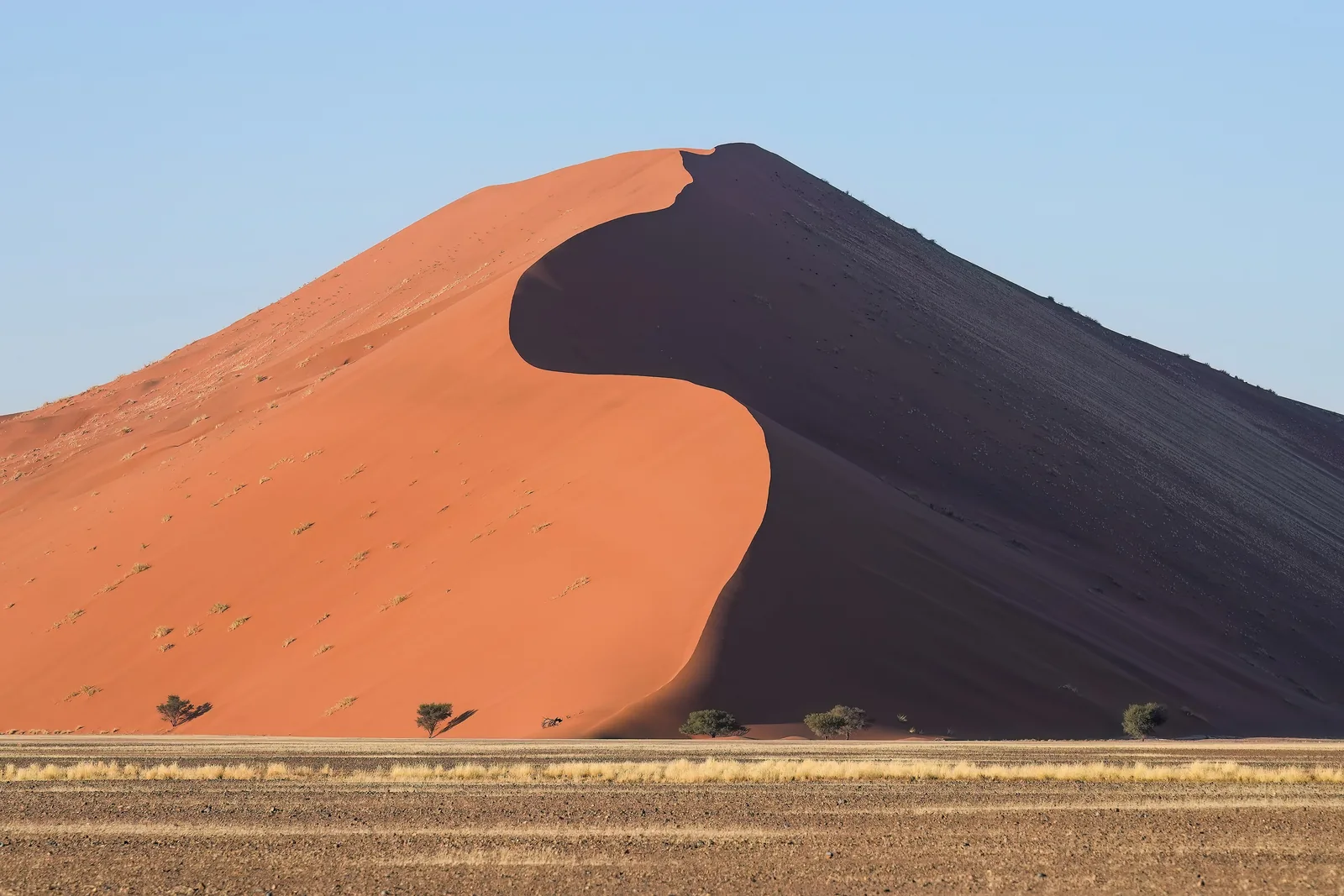 The red star dune Dune 45 in Namib-Naukluft National Park at sunrise, one side in shadow, flat plain in front