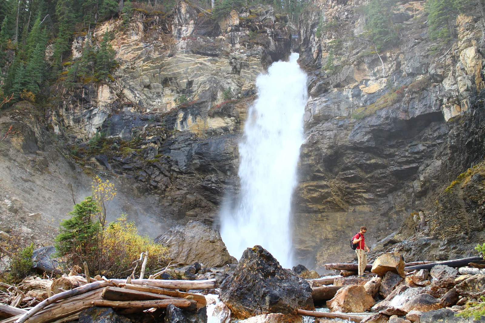 Laughing Falls on the trail from Takakkaw Falls in Yoho National Park, a hiker among driftwood in front.