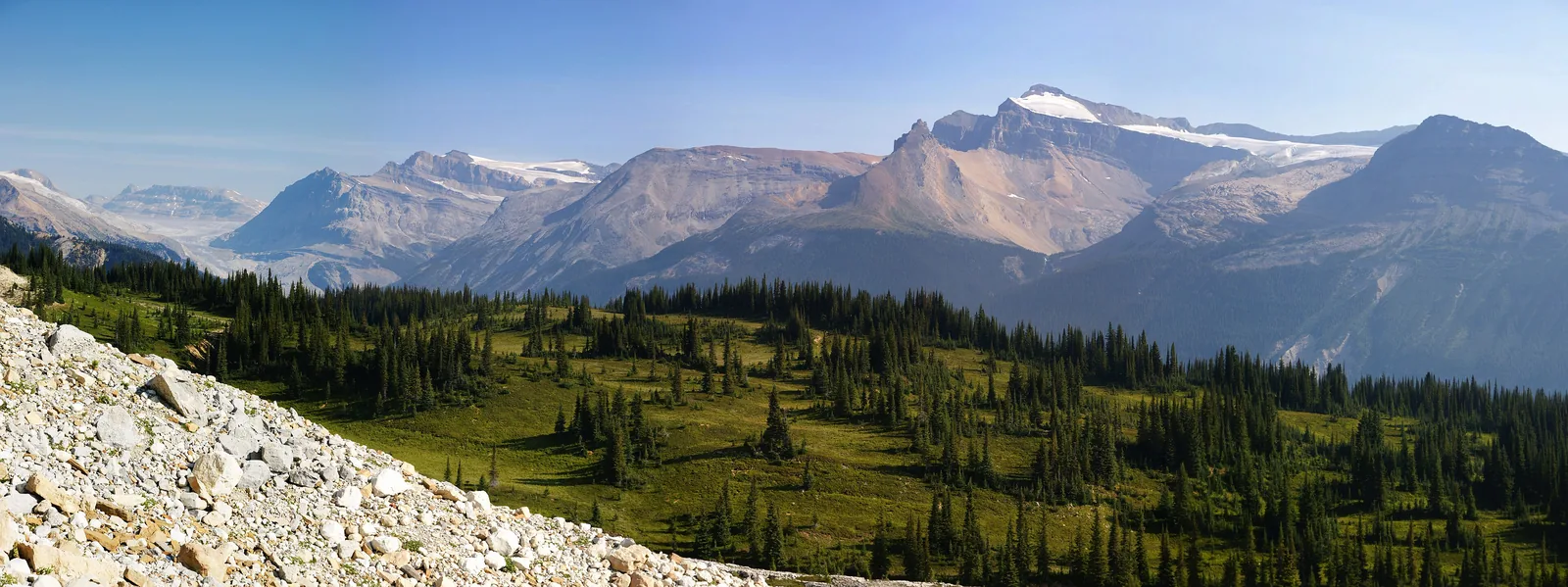 Wide view from the Iceline over alpine meadows and scree to the glaciated peaks above Takakkaw Falls in Yoho National Park.
