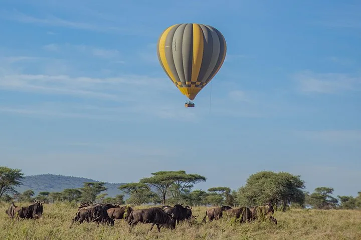 Offer photo: Balloon safari over Tarangire with bush breakfast