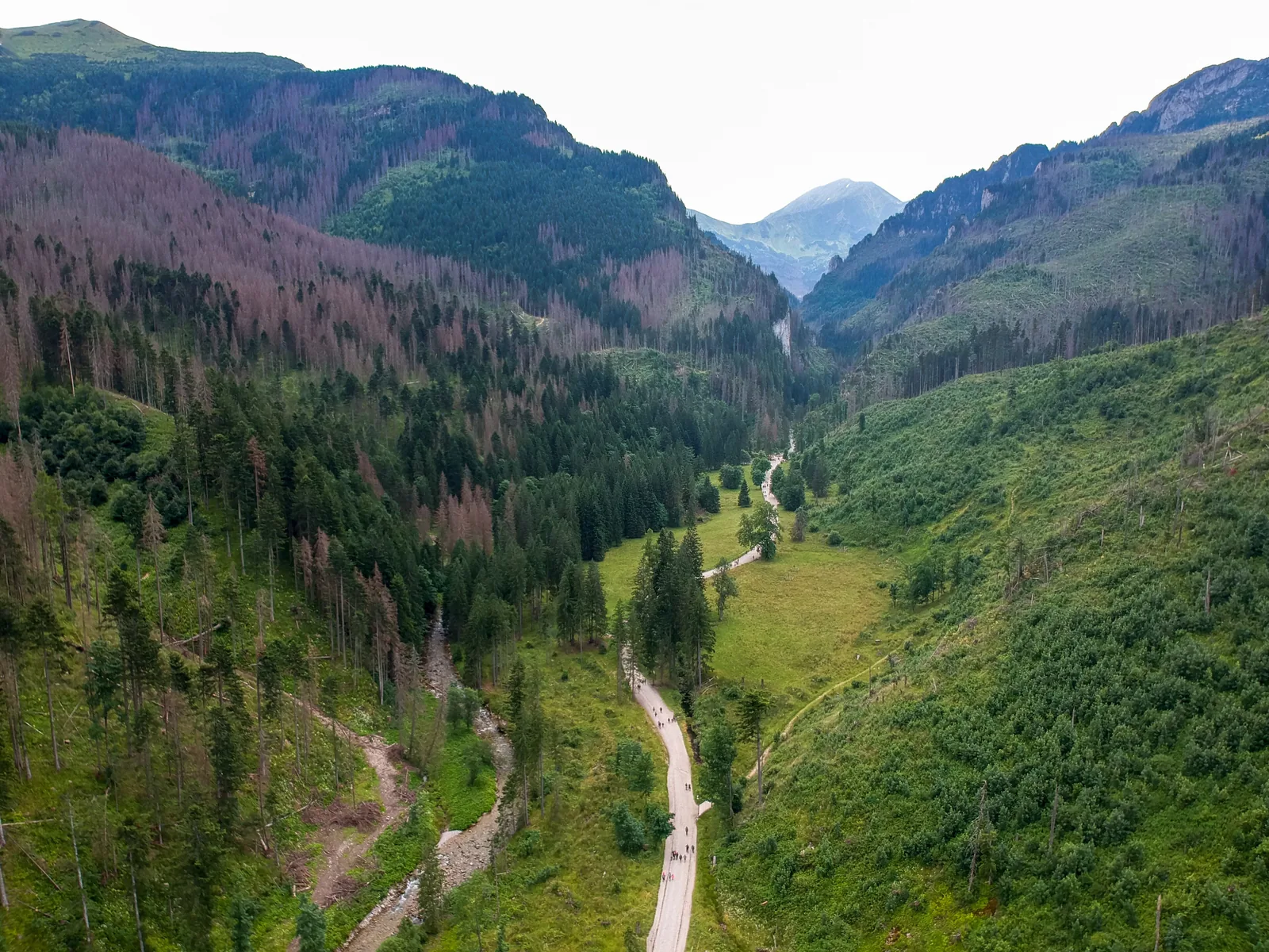 The Kościeliska Valley in Tatra National Park from above: a track through meadows and forest between steep slopes