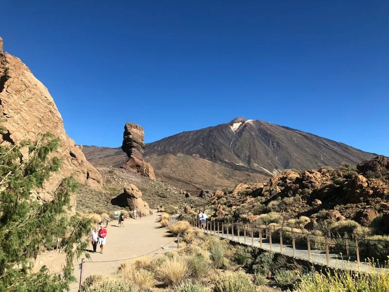 Offer photo: Teide National Park, Icod de los Vinos, Garachico & Masca: day tour from the south (Tiqets)