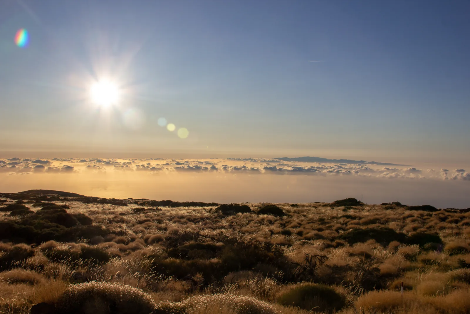 A low sun over a sea of clouds in Teide National Park, with broom bushes at the Observatorio del Teide in front