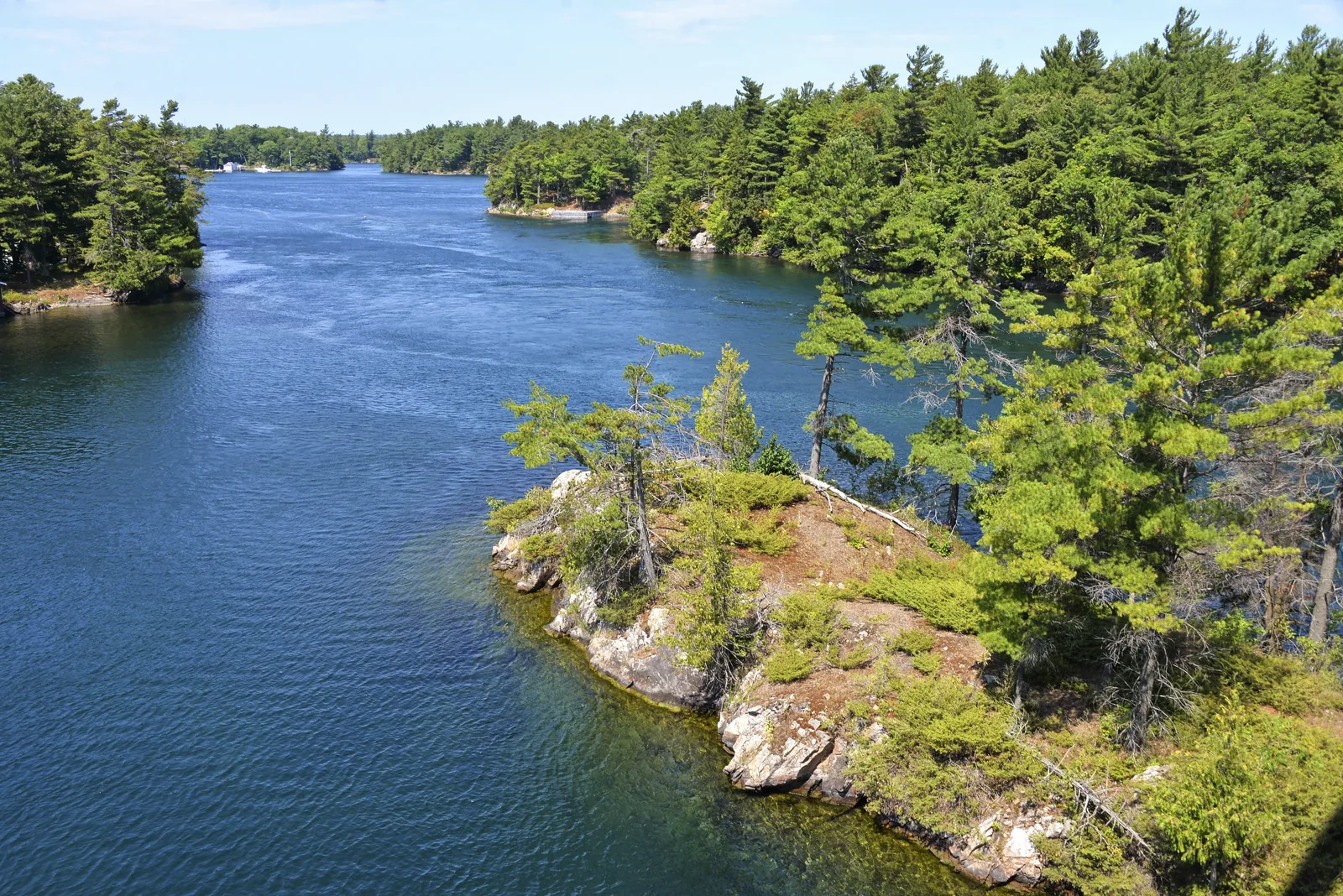 Forested granite islands with pines rising from the blue St. Lawrence River, more islands in the background