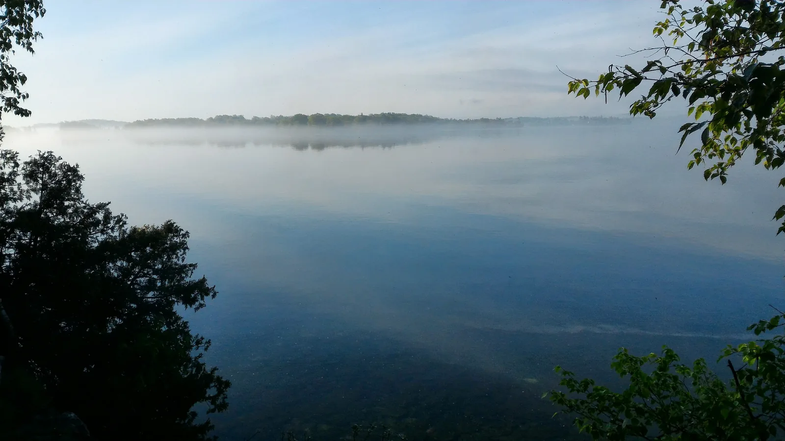 Morning mist over the glassy river, leaves in the foreground, a low forested shore on the horizon