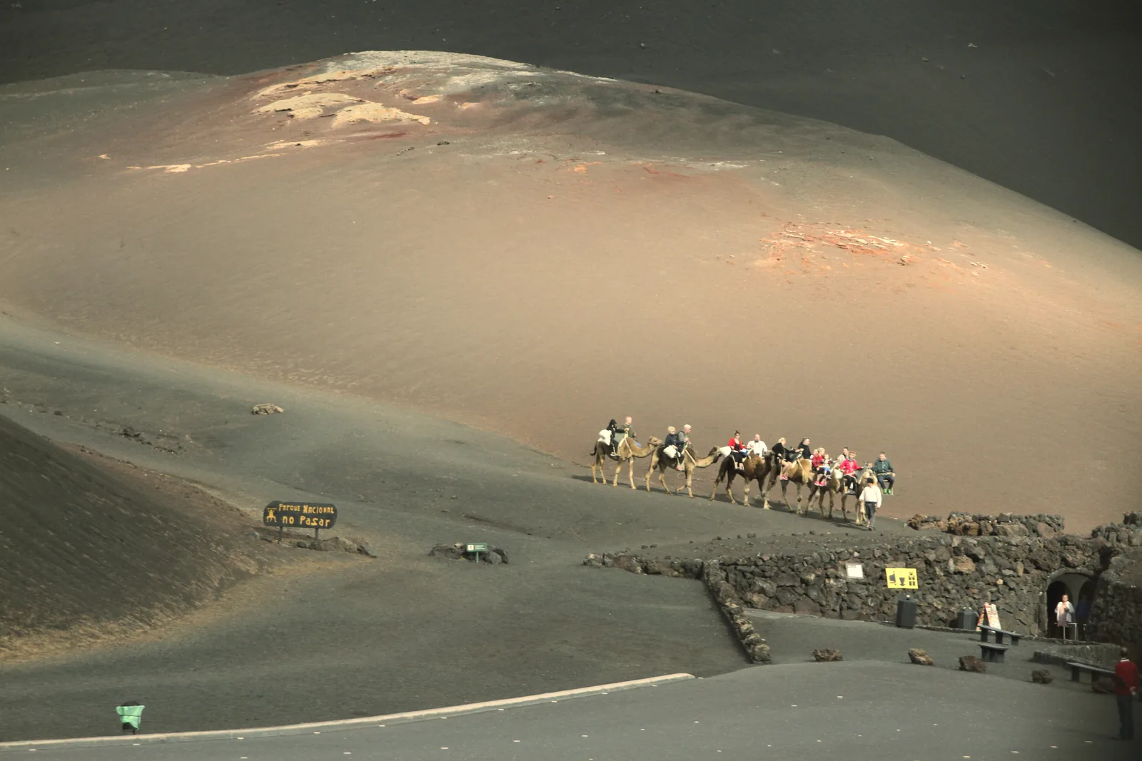 A camel caravan with visitors walking in Timanfaya National Park along the black ash slope of Montaña de Timanfaya