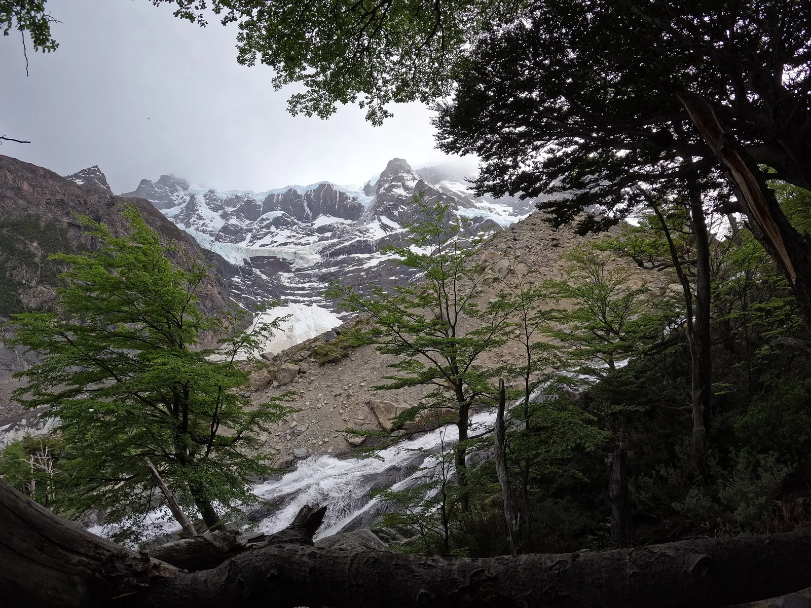View of Cerro Paine Grande in the Valle del Francés in Torres del Paine National Park, lenga trees in the foreground