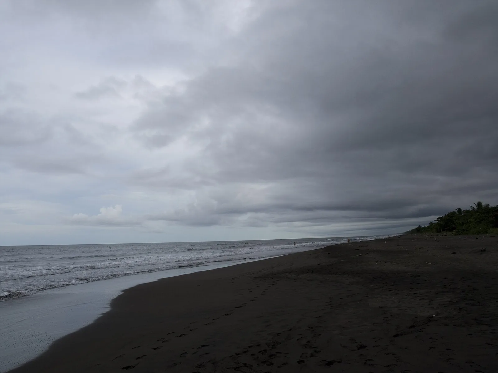 The dark sand beach of Tortuguero on the Caribbean coast under a grey sky, the forest edge on the right