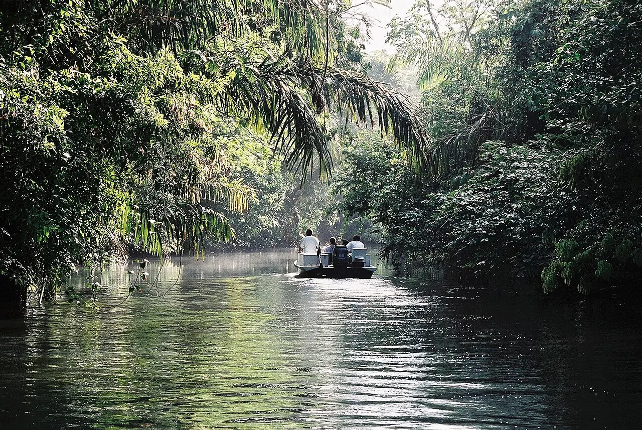 A tour boat travels along a canal in Tortuguero National Park between dense tropical rainforest