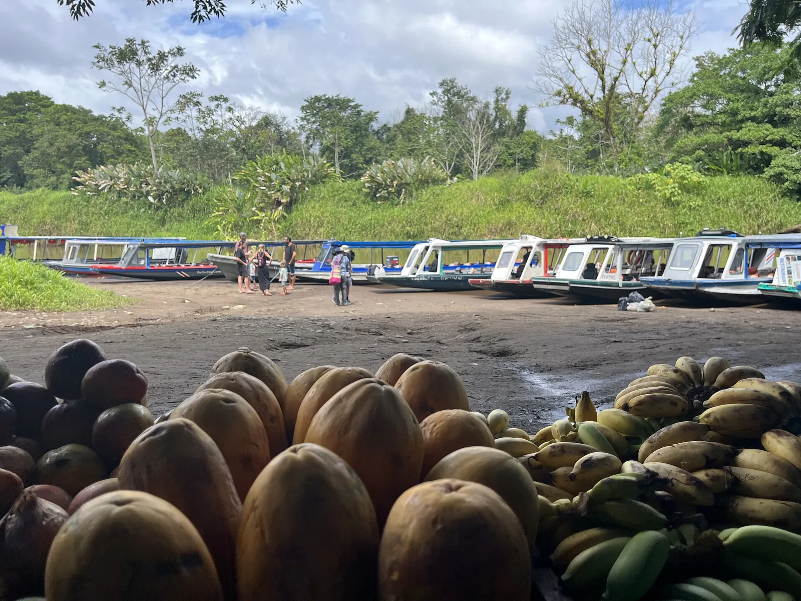 La Pavona boat landing on the way to Tortuguero National Park with covered boats on the riverbank