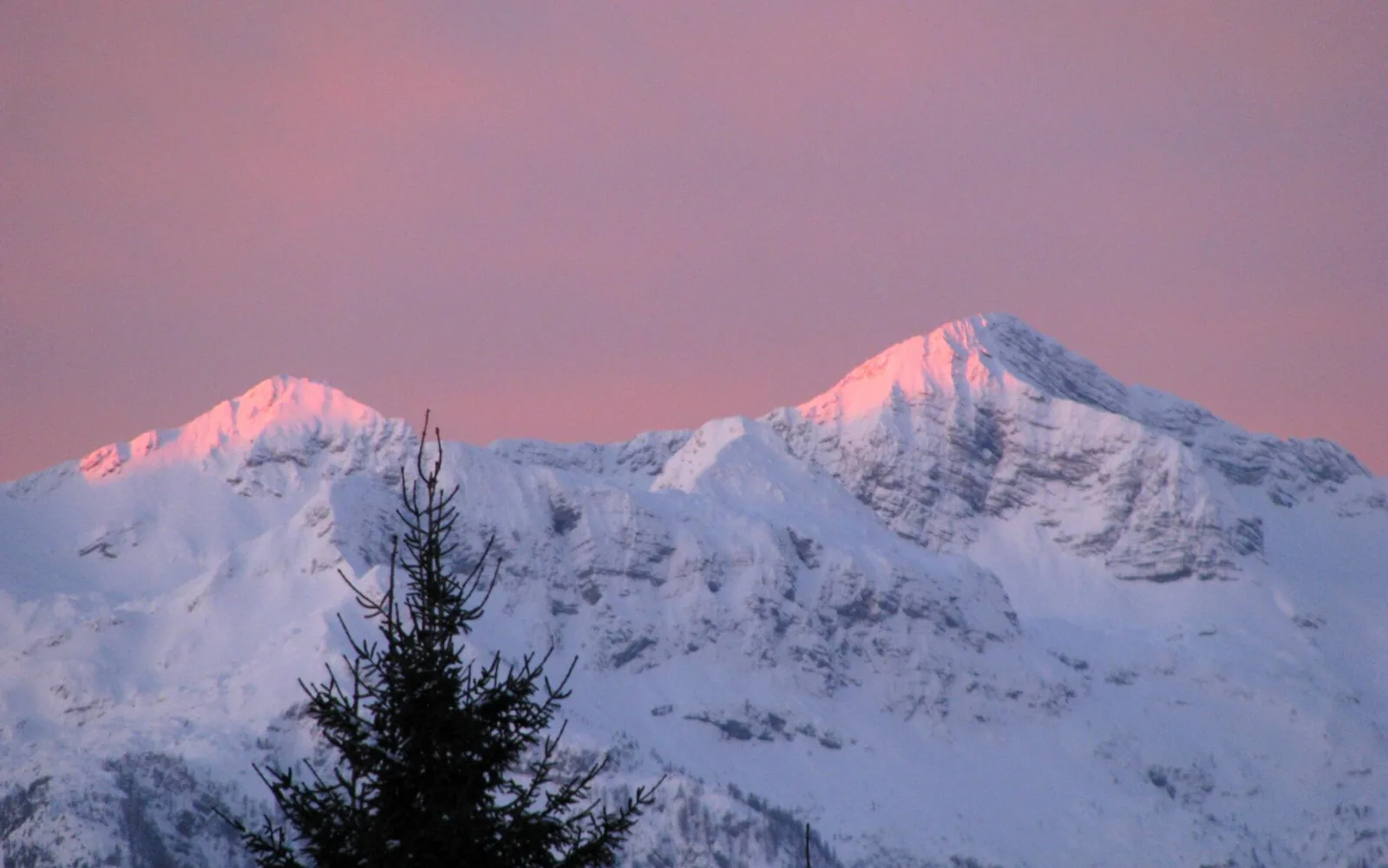 Snow-covered peaks of the Julian Alps in the evening light, seen from the Pokljuka in Triglav National Park