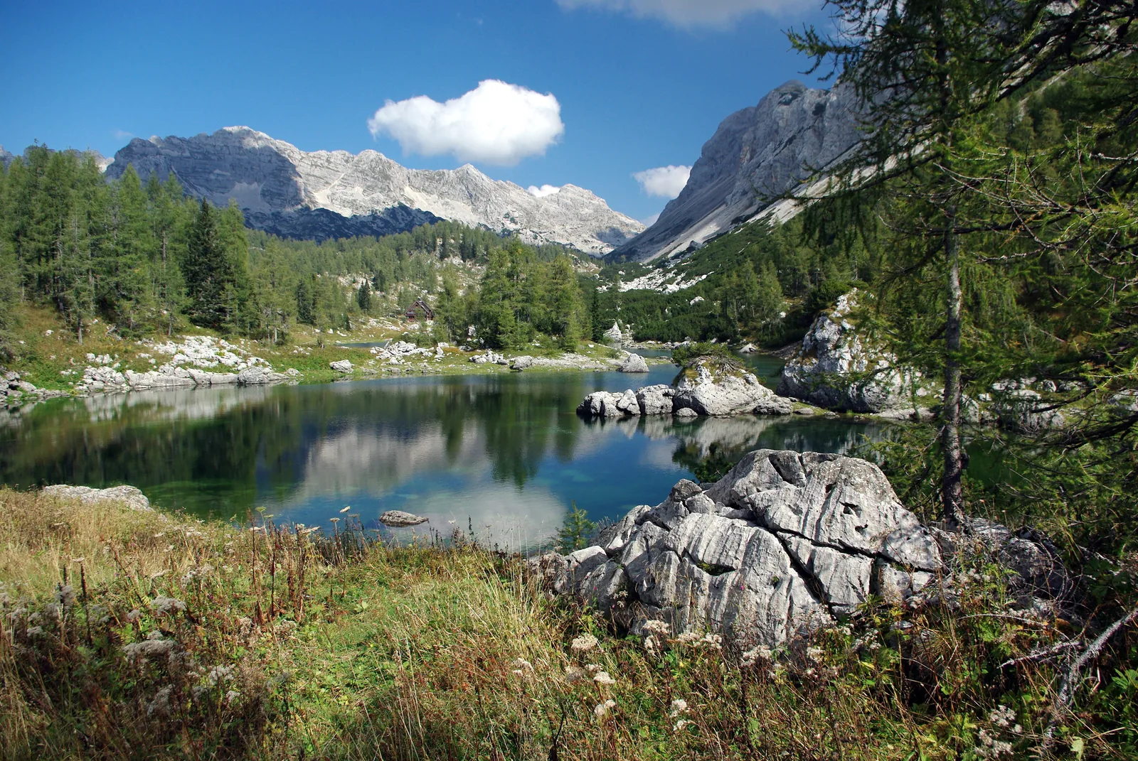 The double lake in the Triglav Lakes Valley in Triglav National Park, surrounded by larches and pale limestone walls