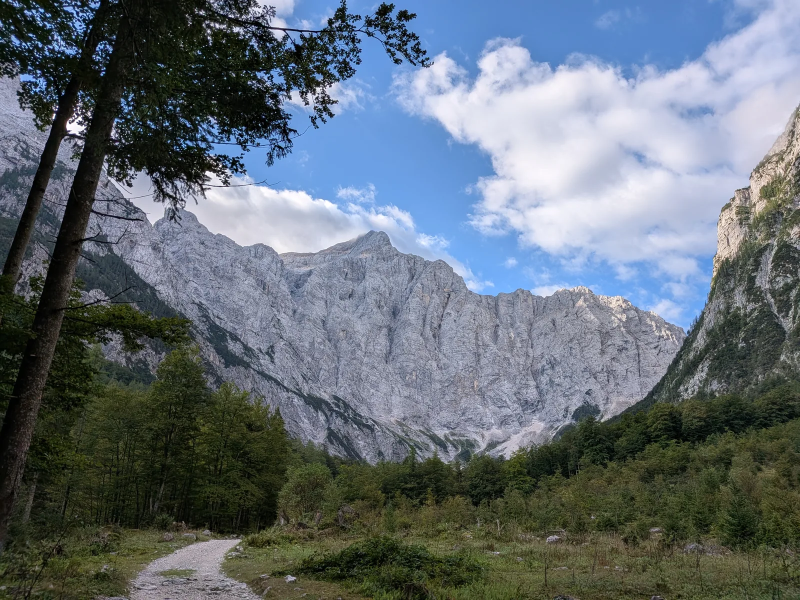 The Triglav North Face in Triglav National Park above the Vrata Valley, with a forest path in the foreground