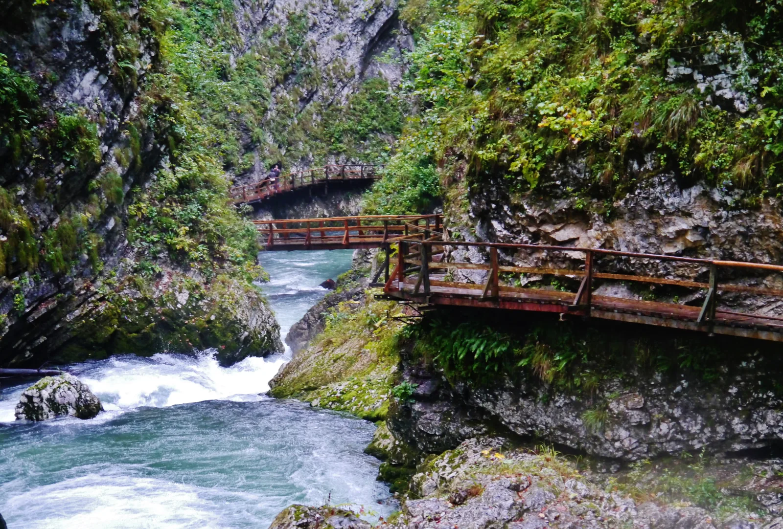 Wooden boardwalks on the rock face above the turquoise Radovna in Vintgar Gorge in Triglav National Park