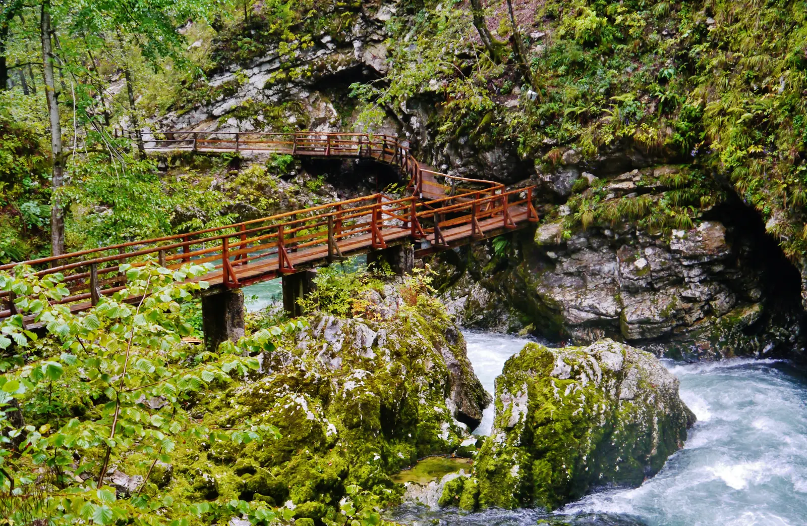 Wooden boardwalks along the rock face above the turquoise water of the Radovna in Vintgar Gorge in Triglav National Park
