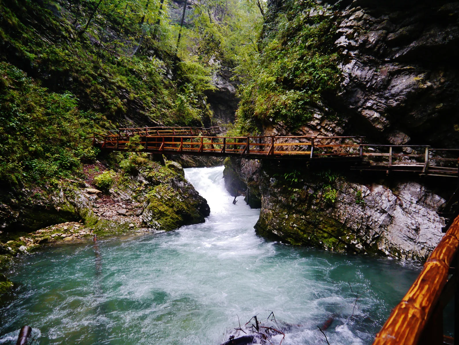 Rapids in Vintgar Gorge in Triglav National Park, beneath a wooden boardwalk between mossy rock walls