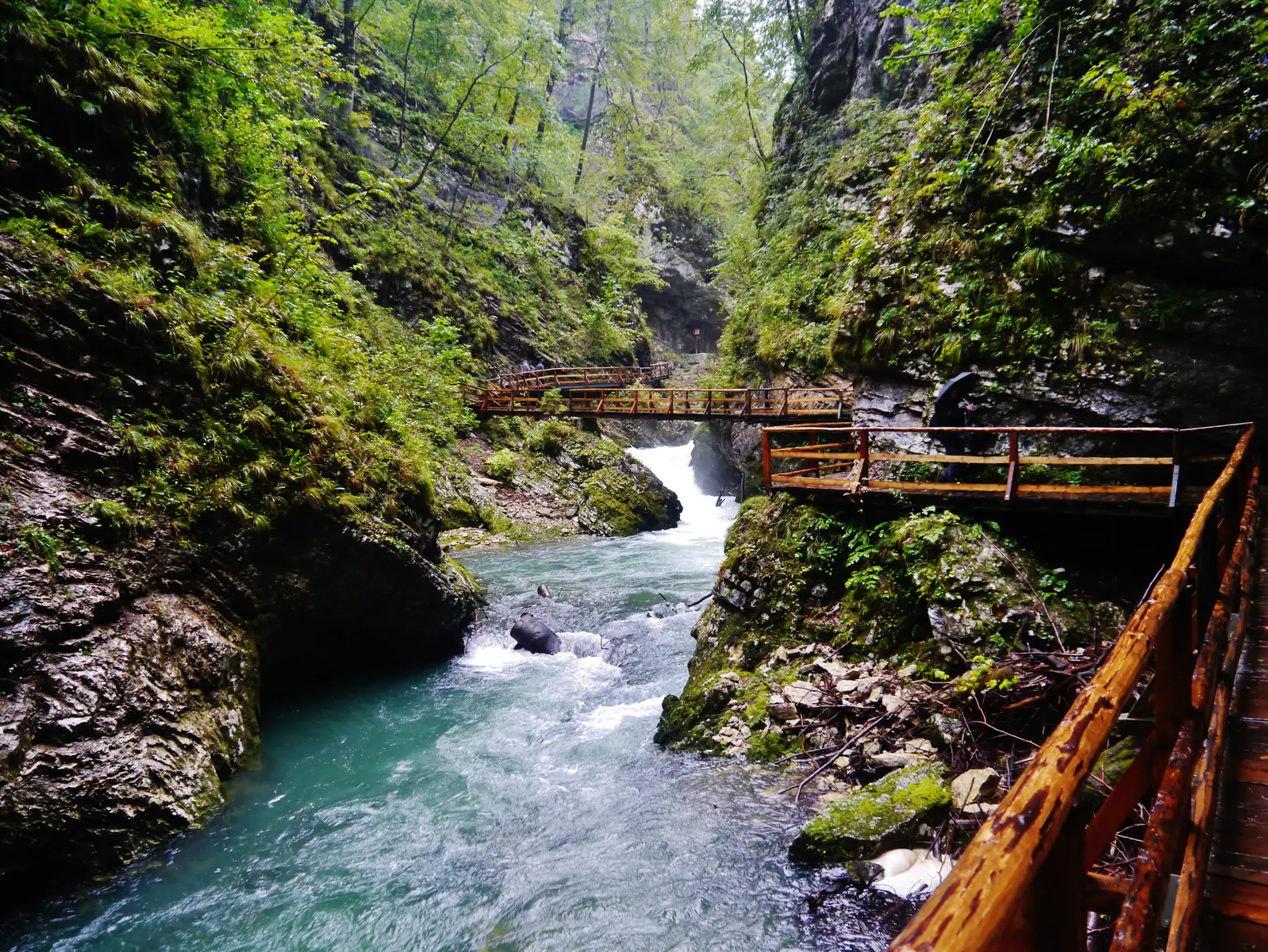 View through Vintgar Gorge in Triglav National Park: boardwalks on both rock walls, the Radovna in between
