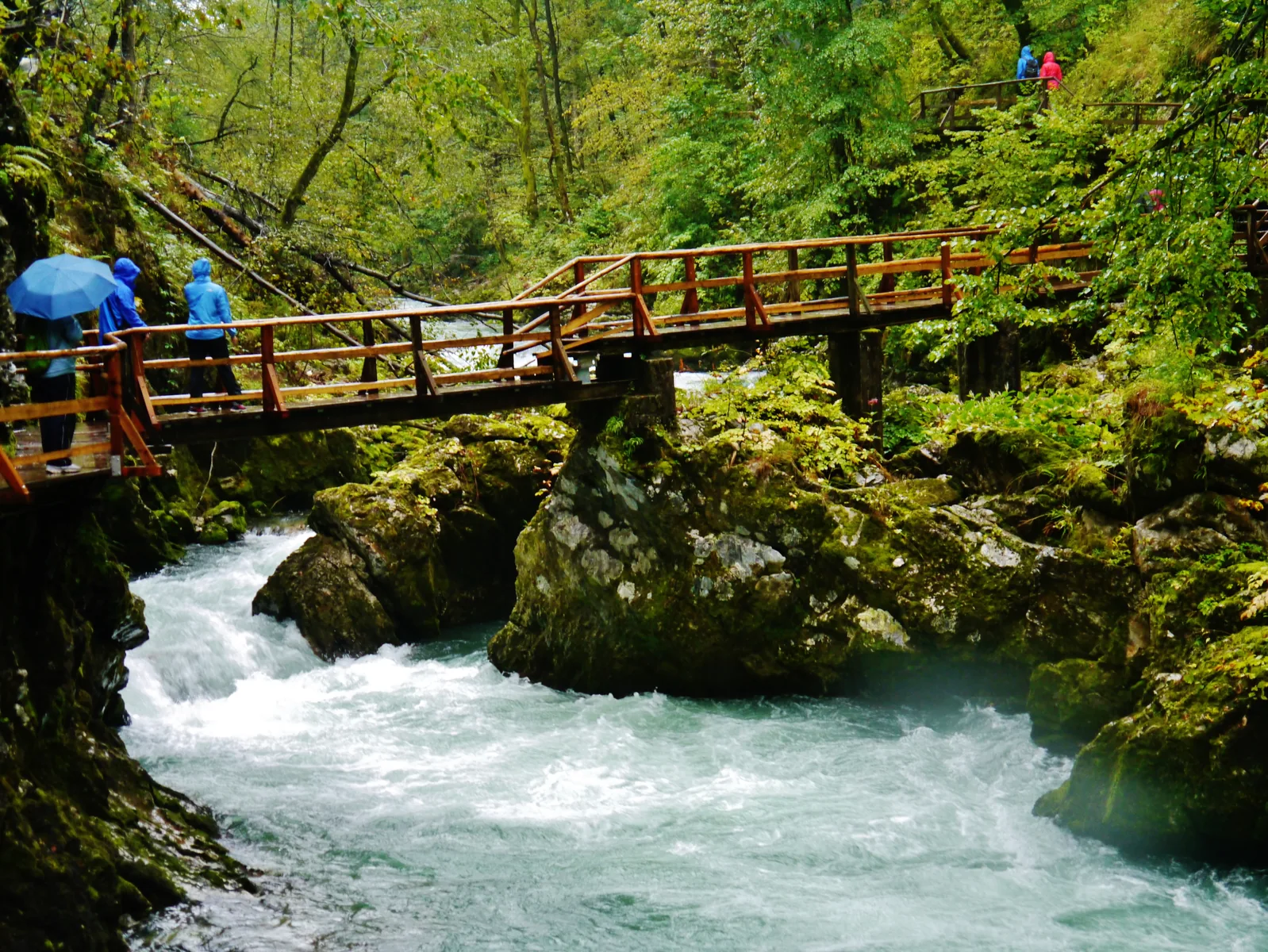 Wooden boardwalk over a narrow section of the Radovna in Vintgar Gorge in Triglav National Park, visitors with umbrellas at the railing