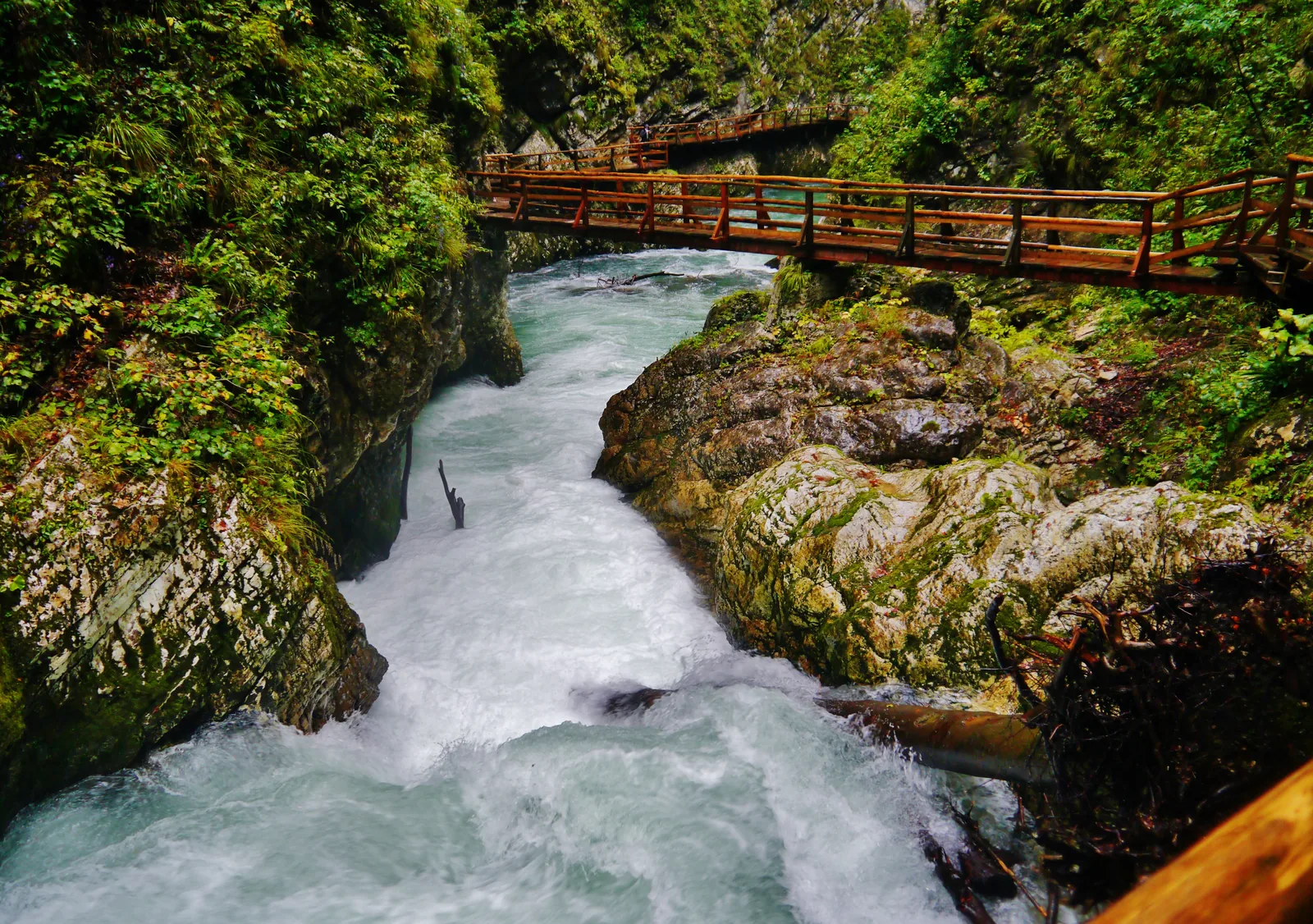 White water in Vintgar Gorge in Triglav National Park between pale boulders, with a boardwalk along the wall above