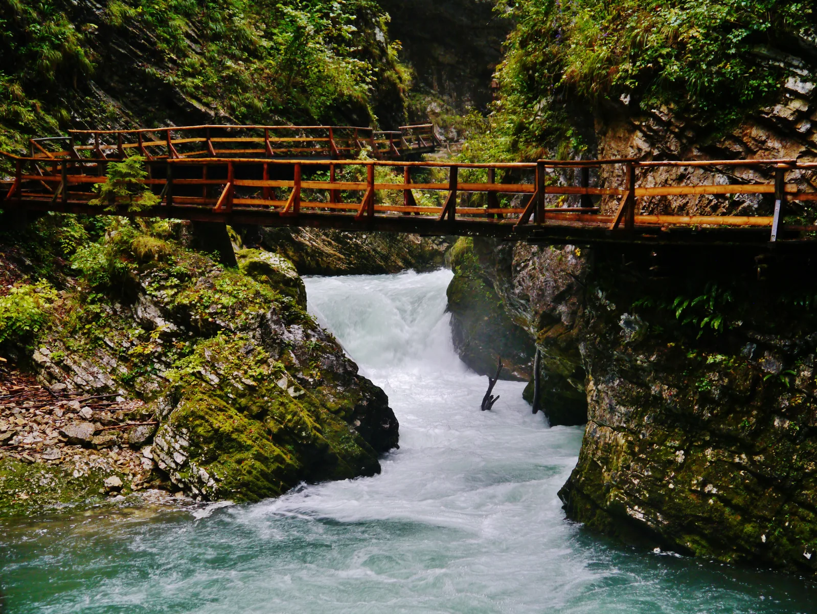 Wooden bridge over foaming water in the narrow Vintgar Gorge in Triglav National Park