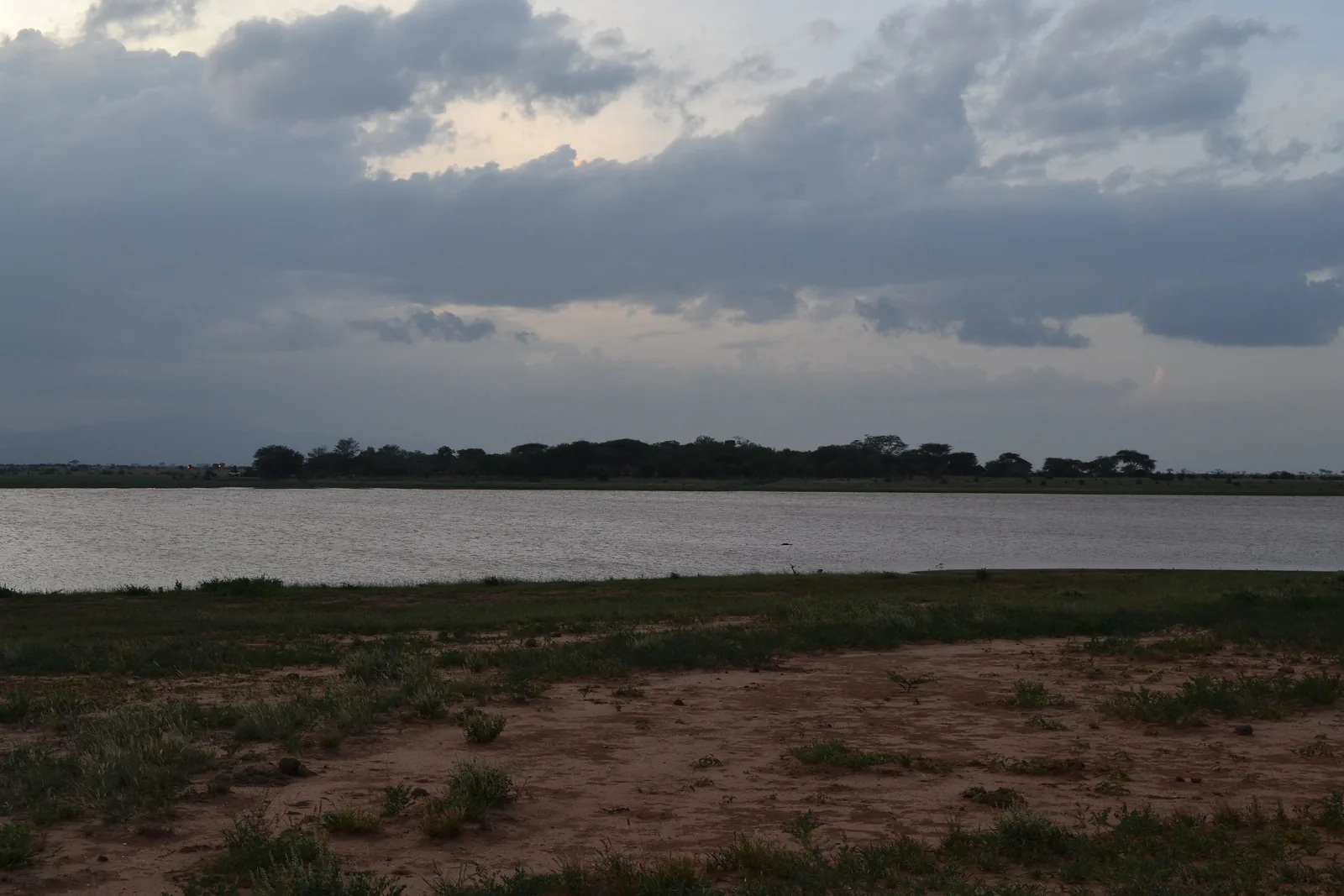 The reservoir of Aruba Dam in Tsavo East National Park in the evening, grassy bank in the foreground and a strip of woodland under clouds on the horizon