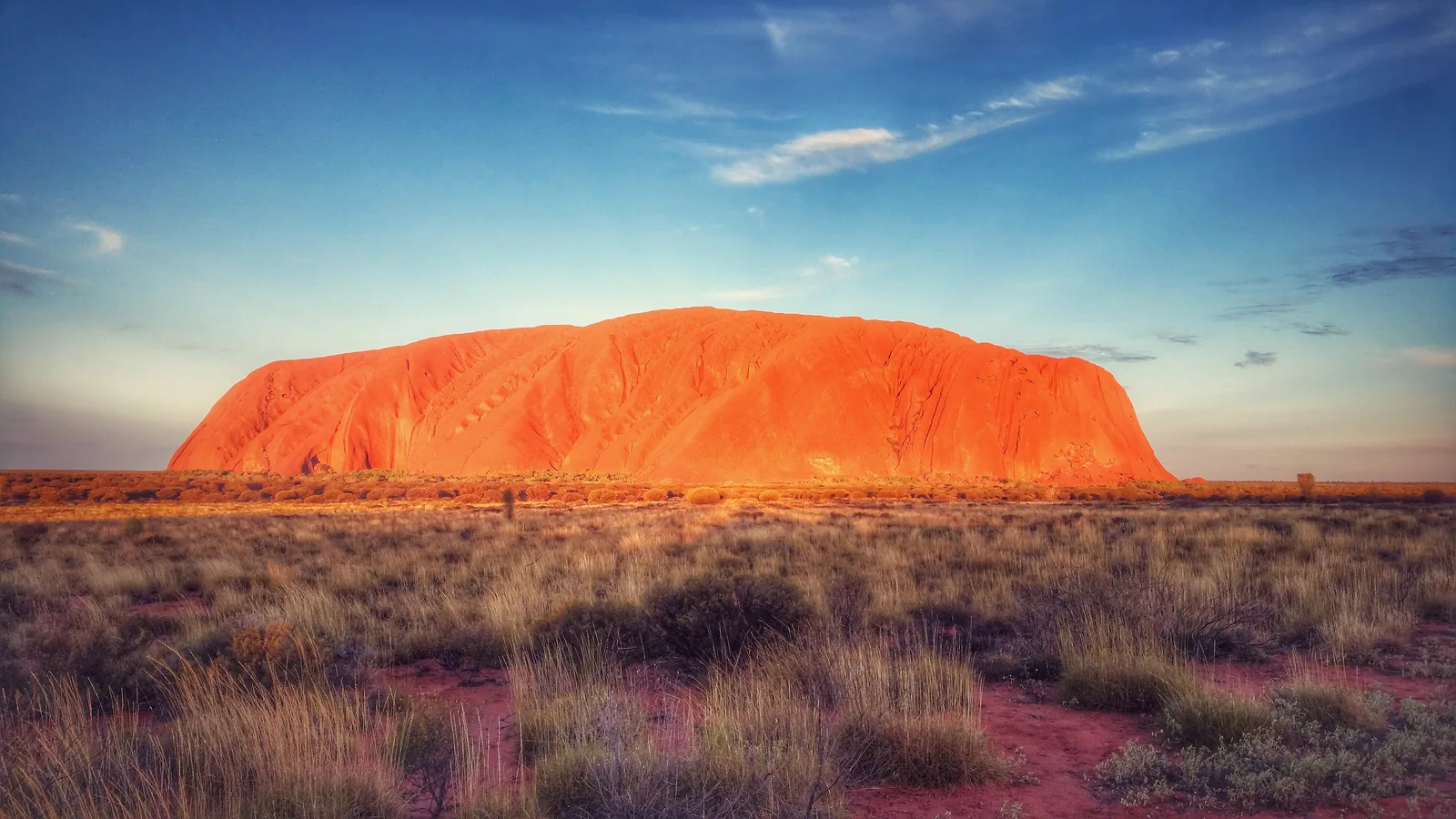 Uluru in Uluṟu-Kata Tjuṯa National Park glowing orange in the early morning light, with a plain of spinifex and red sand in front