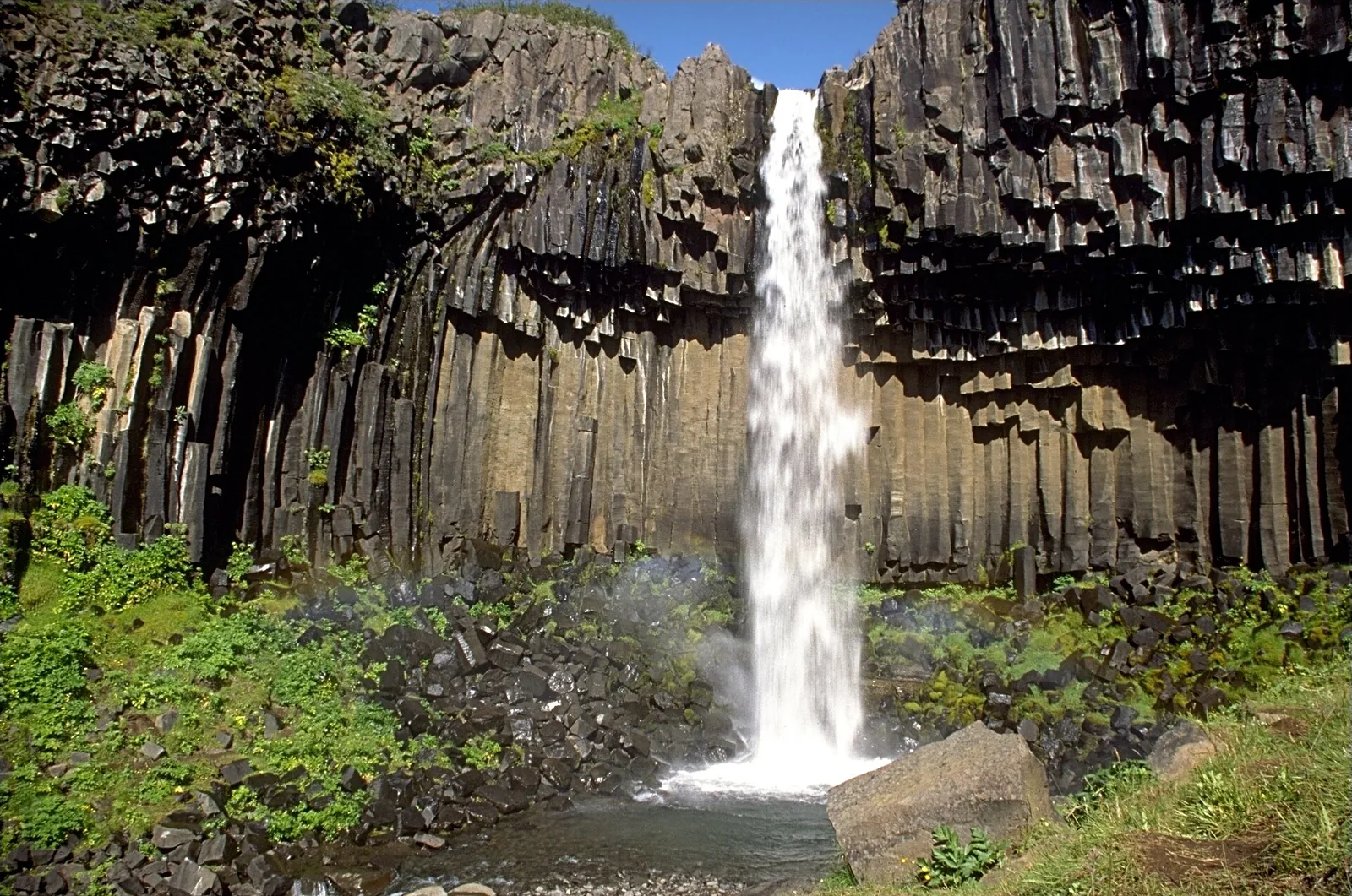 Svartifoss in Vatnajökull National Park falls over dark basalt columns, green slopes and scree in front