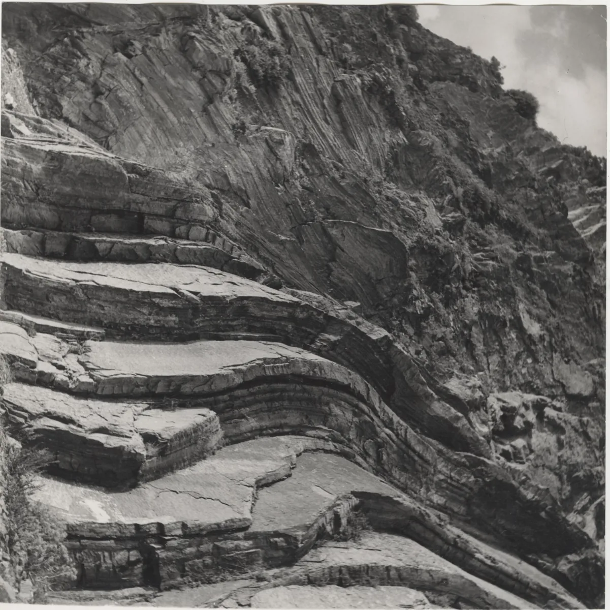 Historic photo from 1955: the Via dell'Amore near Riomaggiore between folded rock layers of the cliff coast
