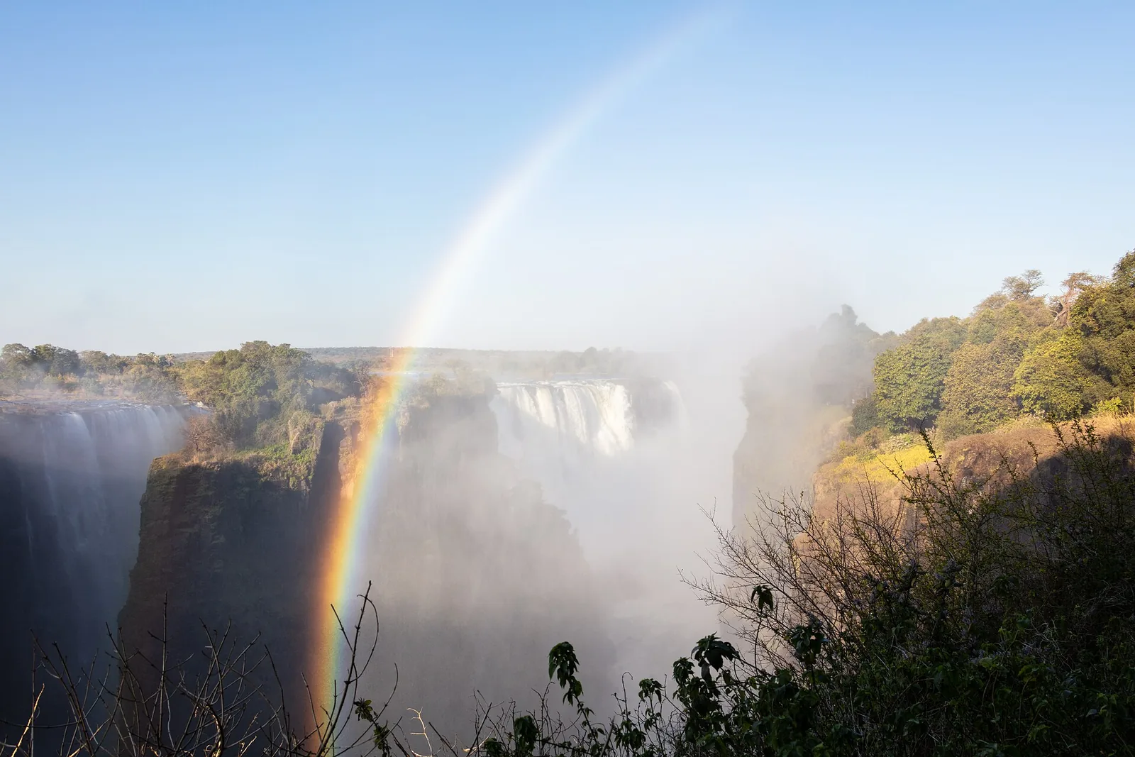 A rainbow in the spray of Victoria Falls above the gorge, with bushes at the edge of the rainforest on the right