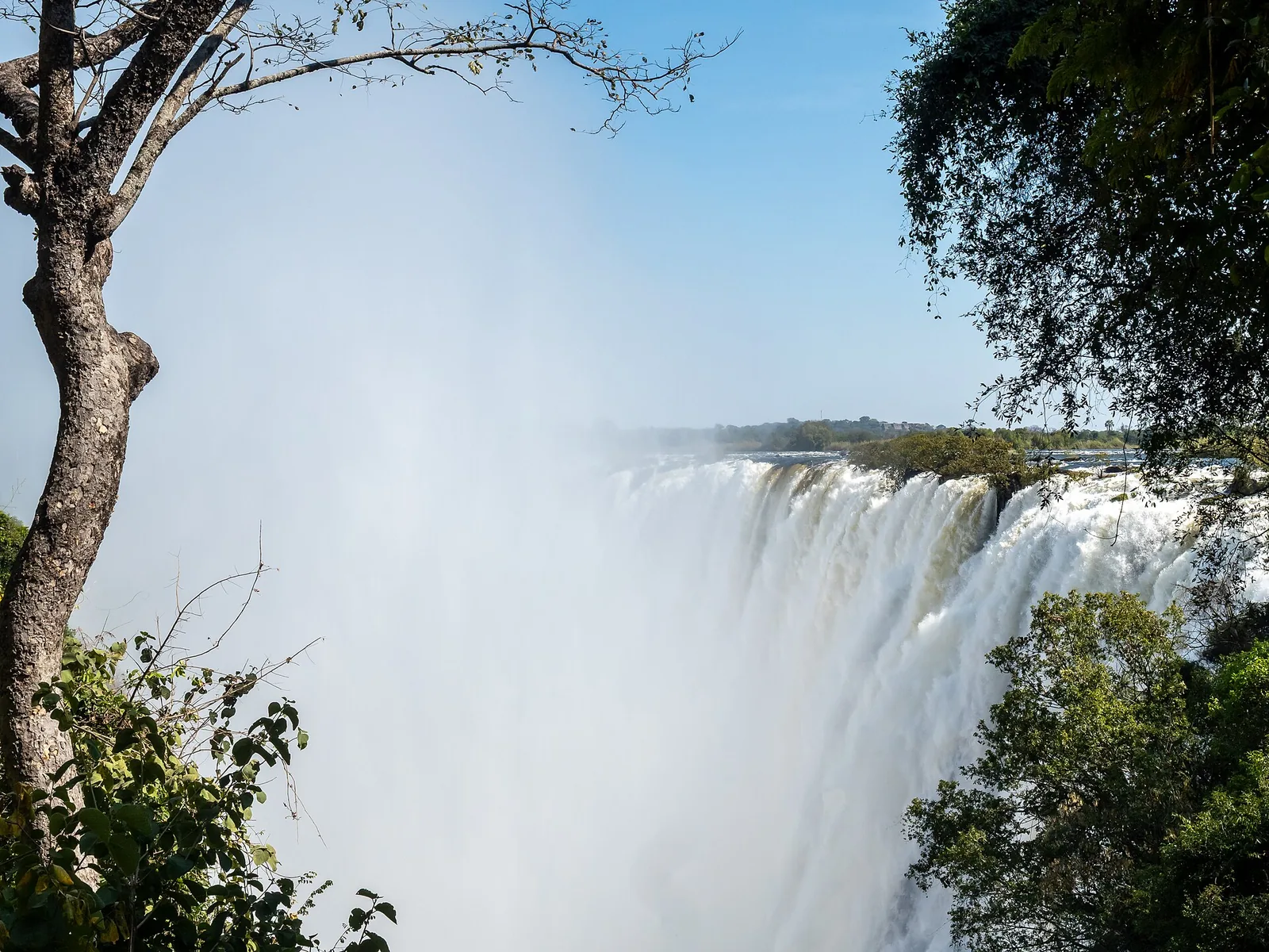 Victoria Falls from the Zambian side in Mosi-oa-Tunya National Park: water pours over the basalt edge, with trees in front