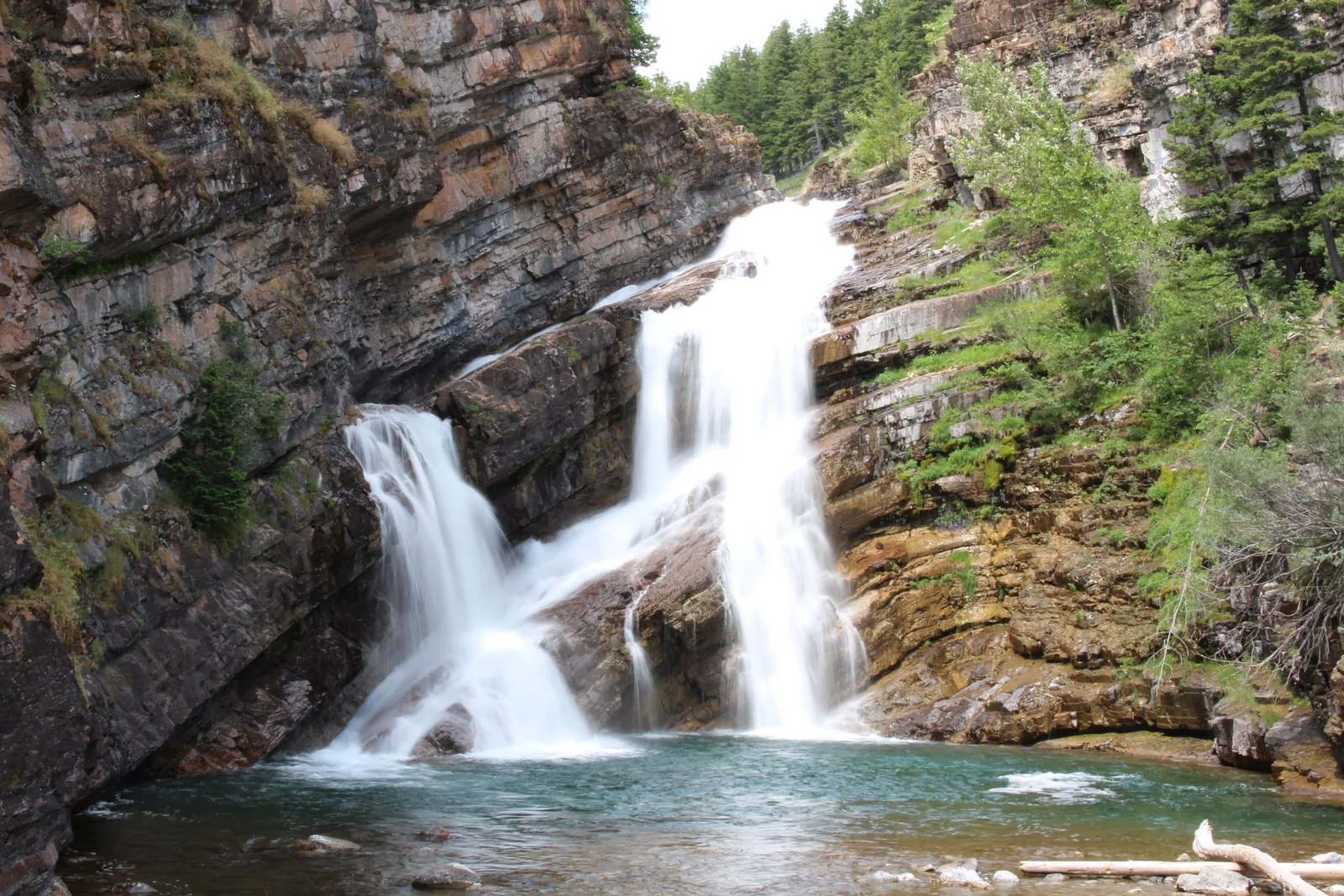 Cameron Falls in Waterton Lakes National Park tumbling in two branches over layered rock into a pool, dense conifer forest all around