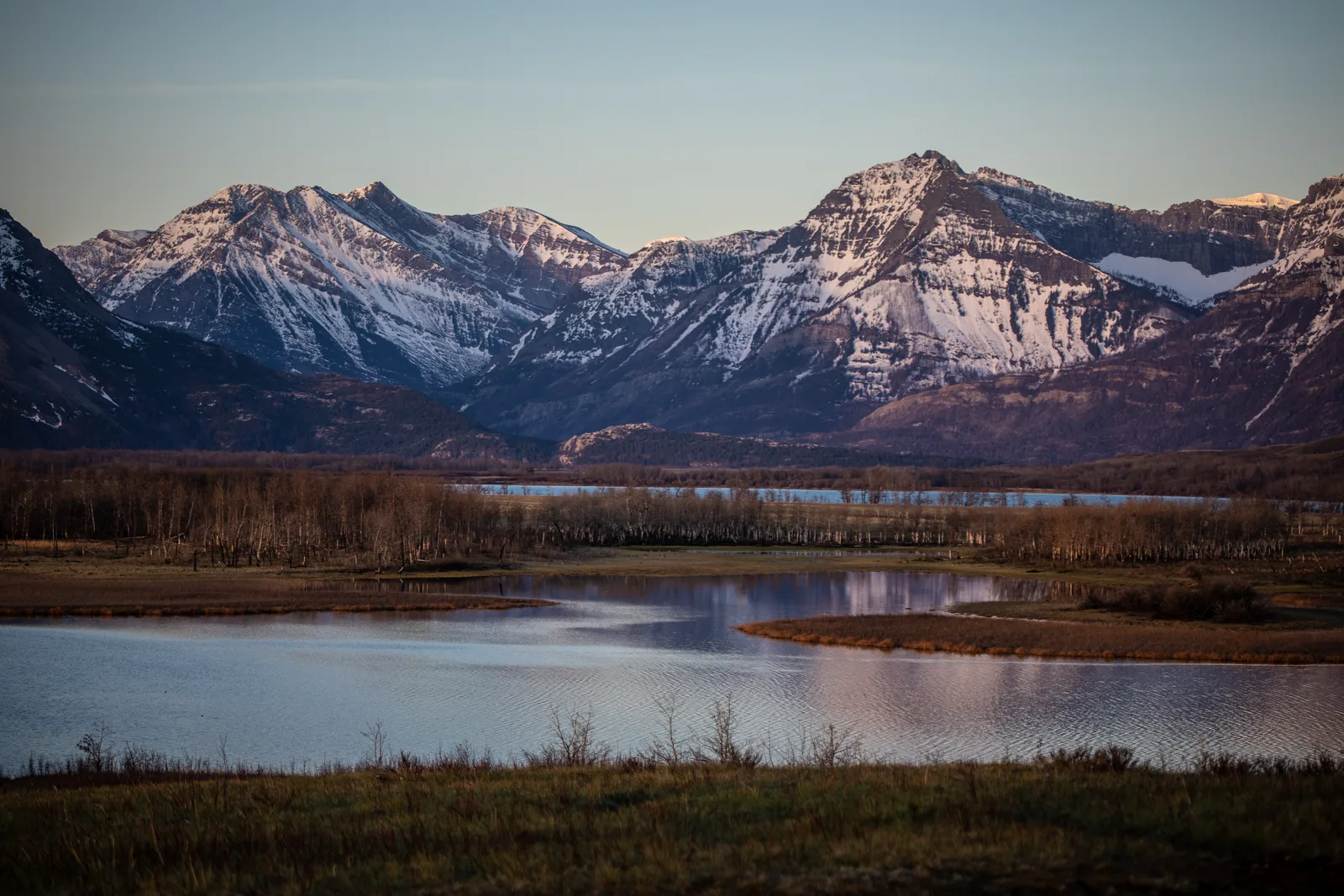 Flat wetland with prairie grass in Waterton Lakes National Park in the foreground, behind it a snow-streaked mountain wall rising abruptly