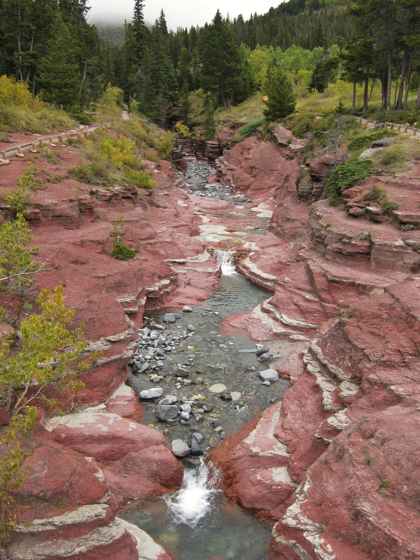 Clear water flowing in Waterton Lakes National Park over the red-coloured rock steps of Red Rock Canyon, conifer forest along the edges