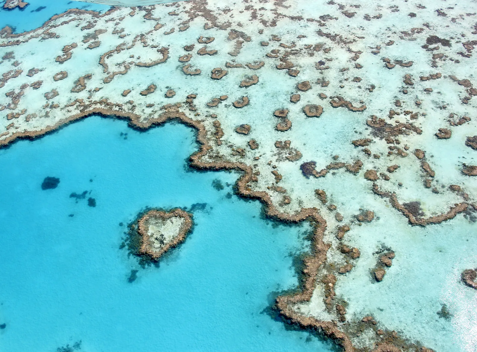 The heart-shaped Heart Reef in the Great Barrier Reef Marine Park off the Whitsundays from the air, surrounded by turquoise reef flats