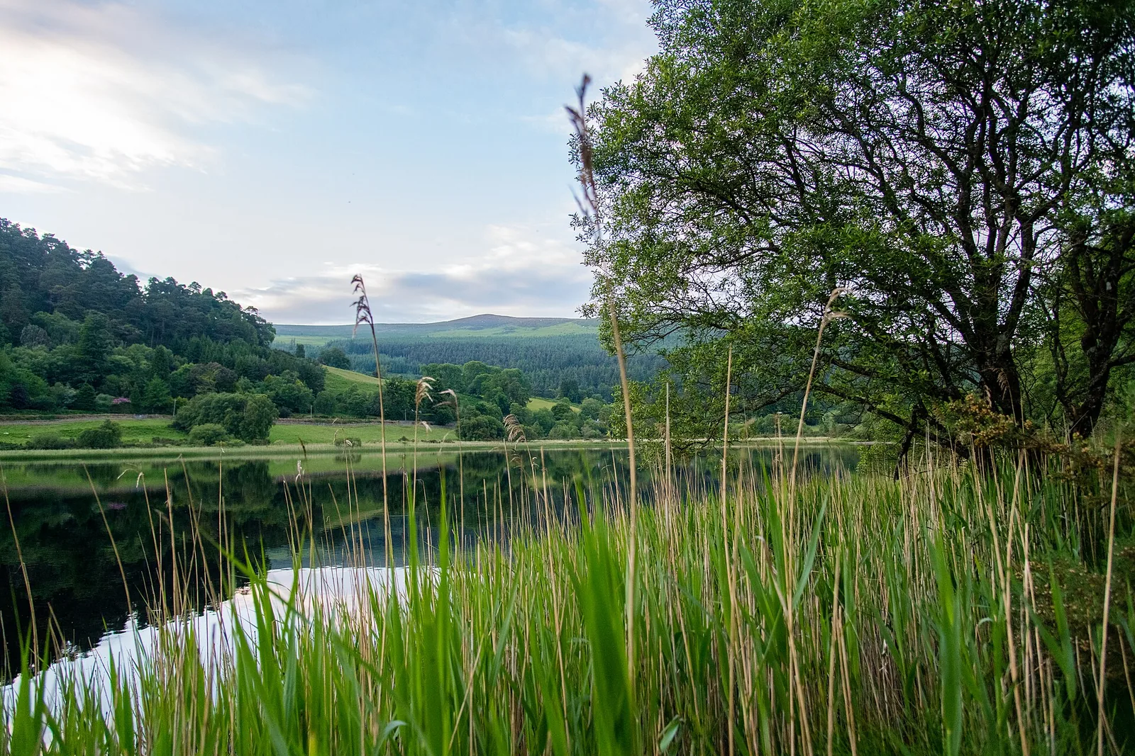 View across the Lower Lake at Glendalough in Wicklow Mountains National Park to the wooded slopes of the valley