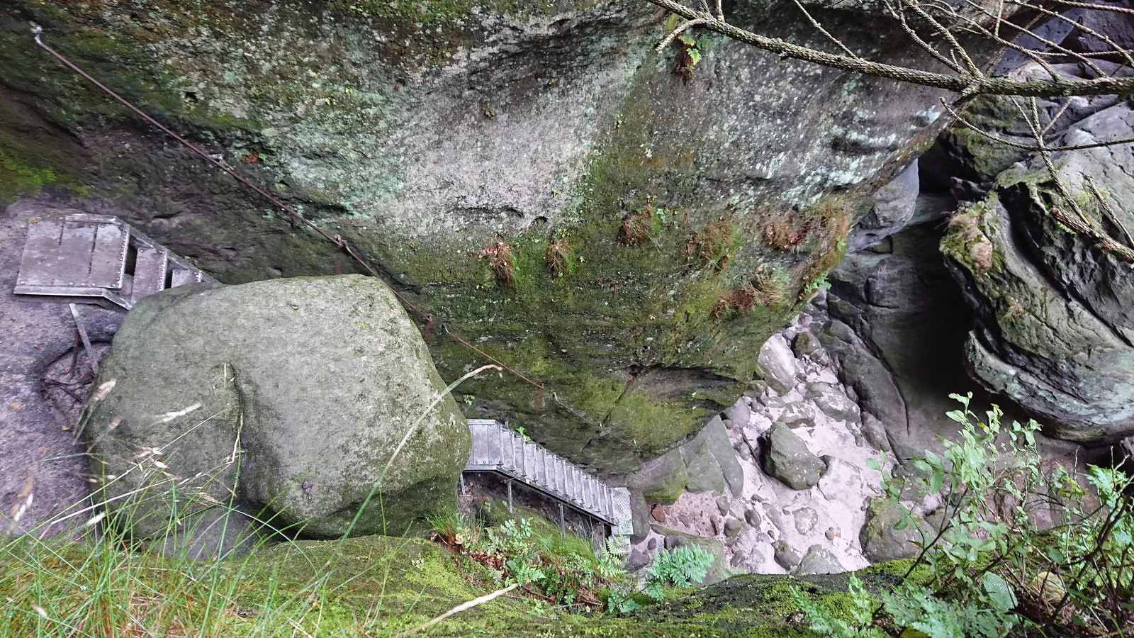Wooden stairs and mossy boulders in the Wilde Hölle gorge, the ascent to the Carolafelsen in the Affensteine