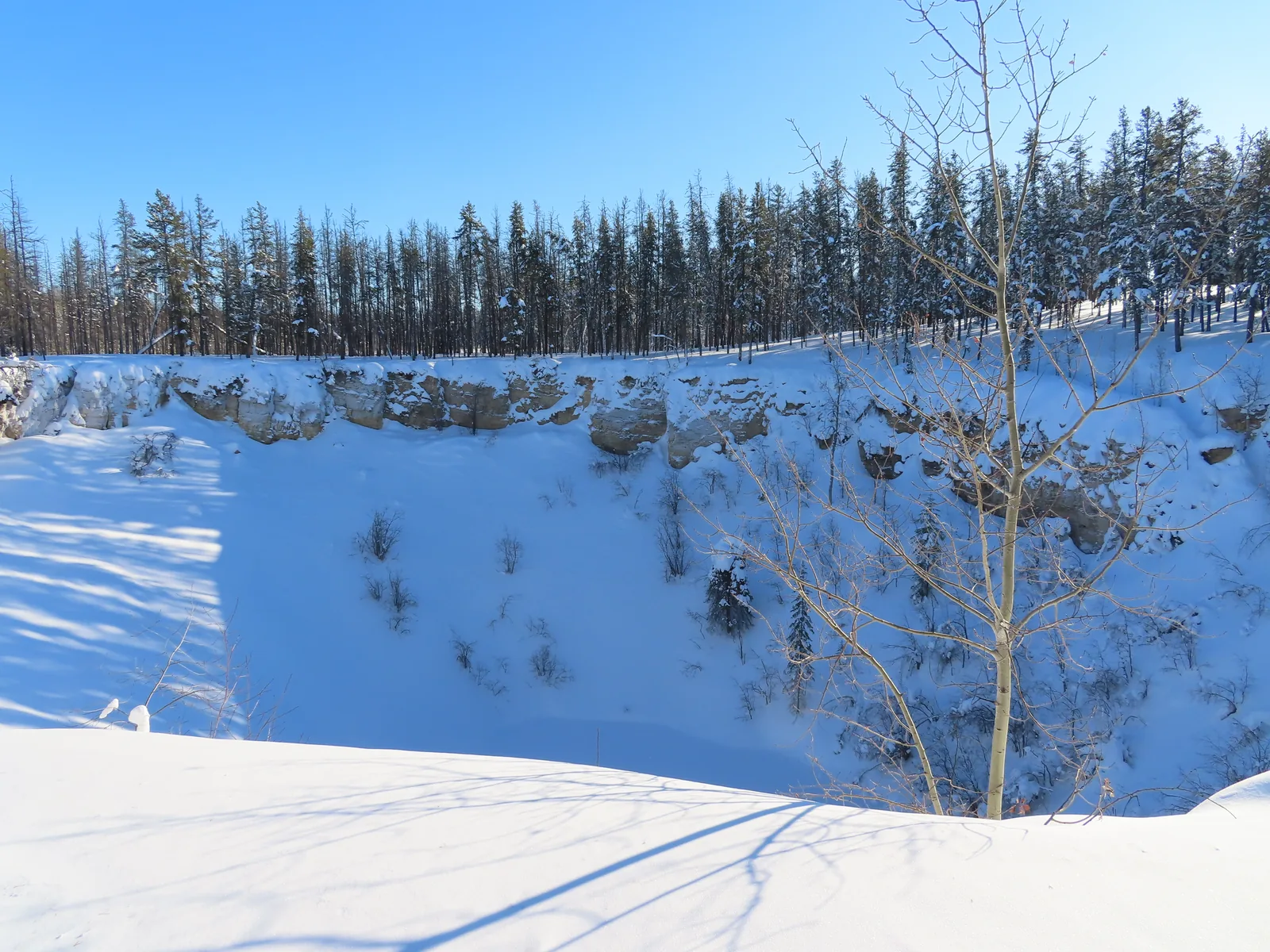 A deep, snow-covered sinkhole in Wood Buffalo National Park with steep walls, bare aspens and conifers at the edge under a blue winter sky
