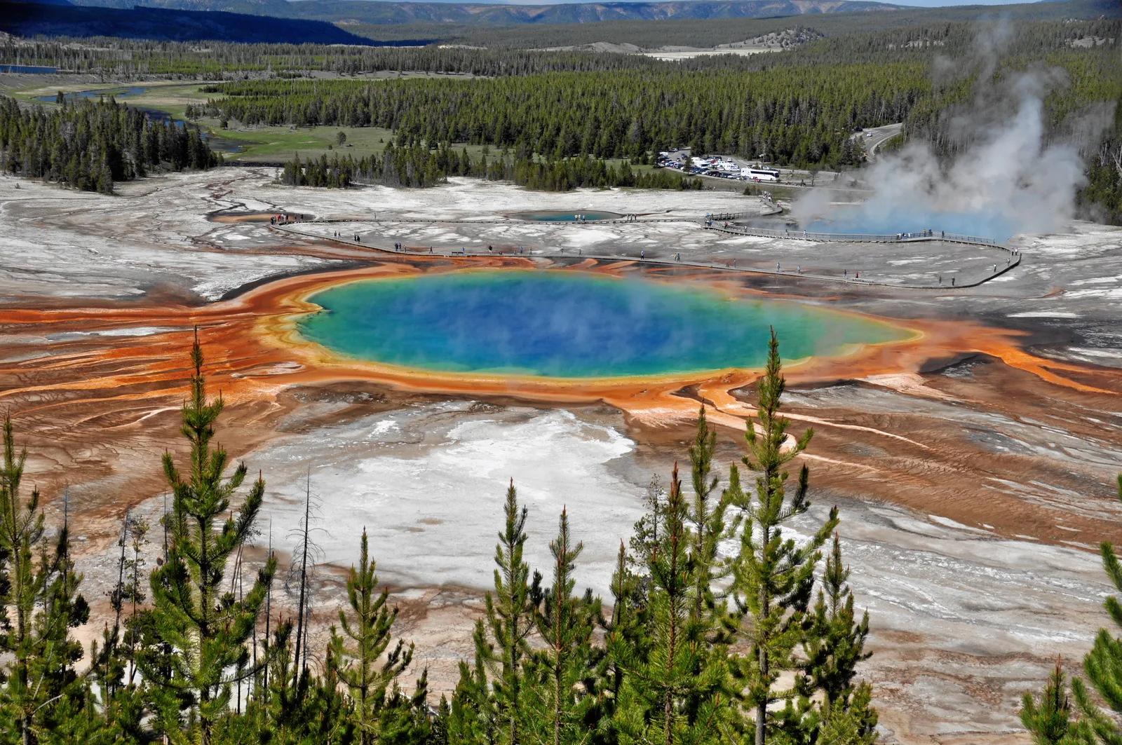 Grand Prismatic Spring in Yellowstone National Park from above: a deep blue hot pool with bright orange edges, conifer forest behind.
