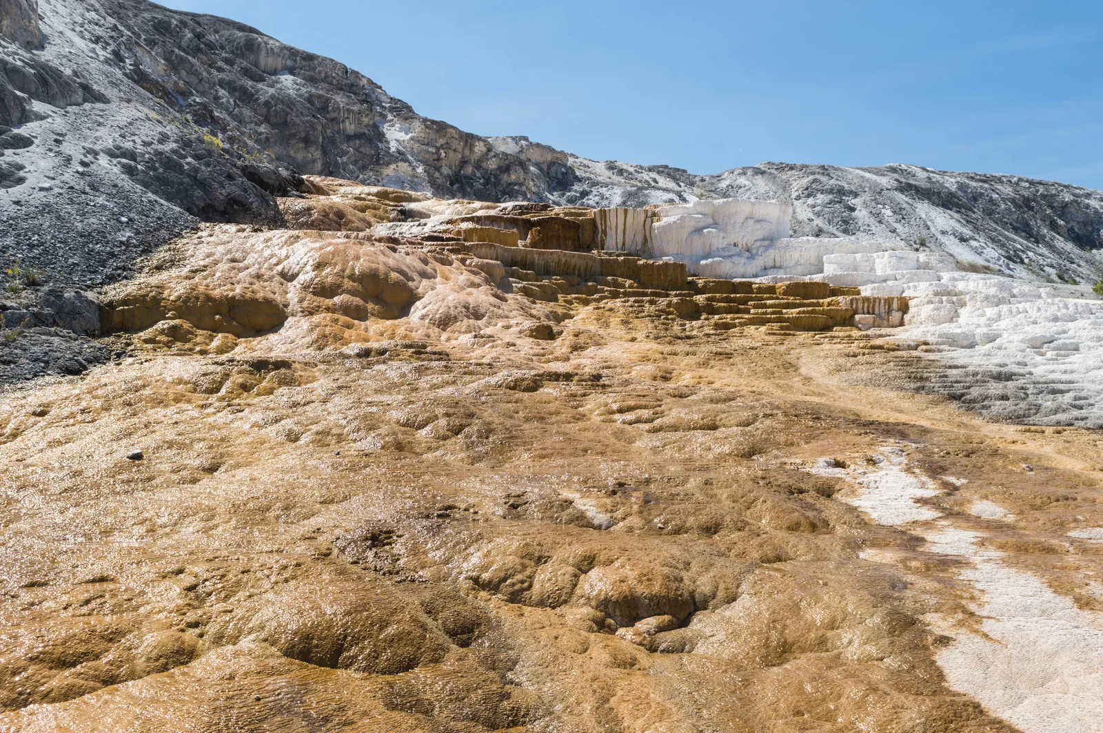 Mammoth Hot Springs in Yellowstone National Park: stepped white sinter terraces with orange streaks, thin films of water running over them.