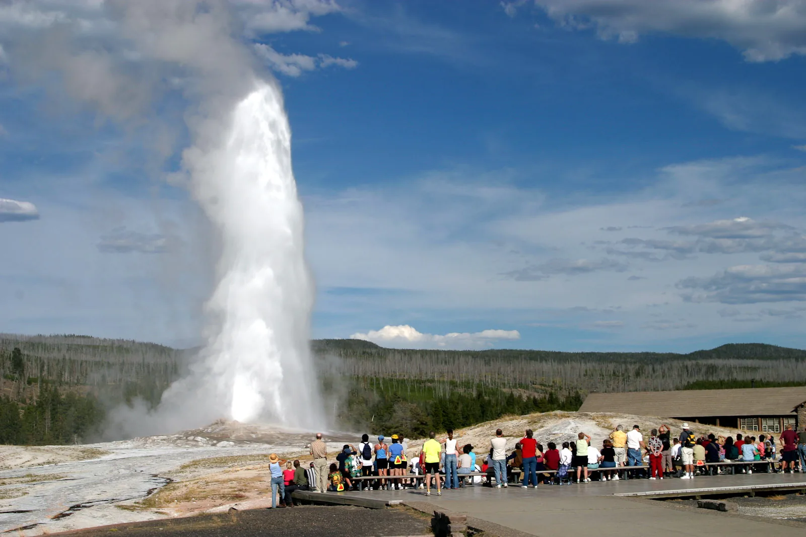 Old Faithful in Yellowstone National Park: a tall white column of steam and water rises from a pale sinter field in front of dark conifer forest.